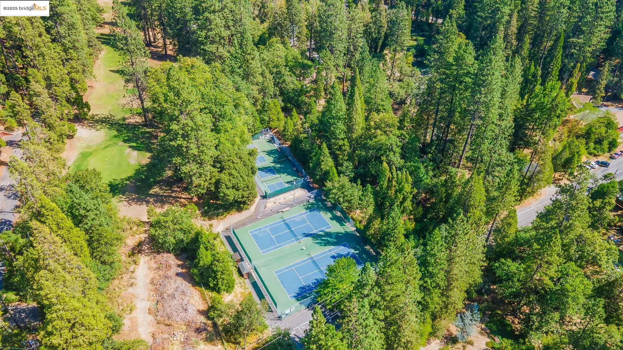 Detail Gallery Image 44 of 47 For 23192 Cresta Dr, Twain Harte,  CA 95383 - 3 Beds | 2 Baths