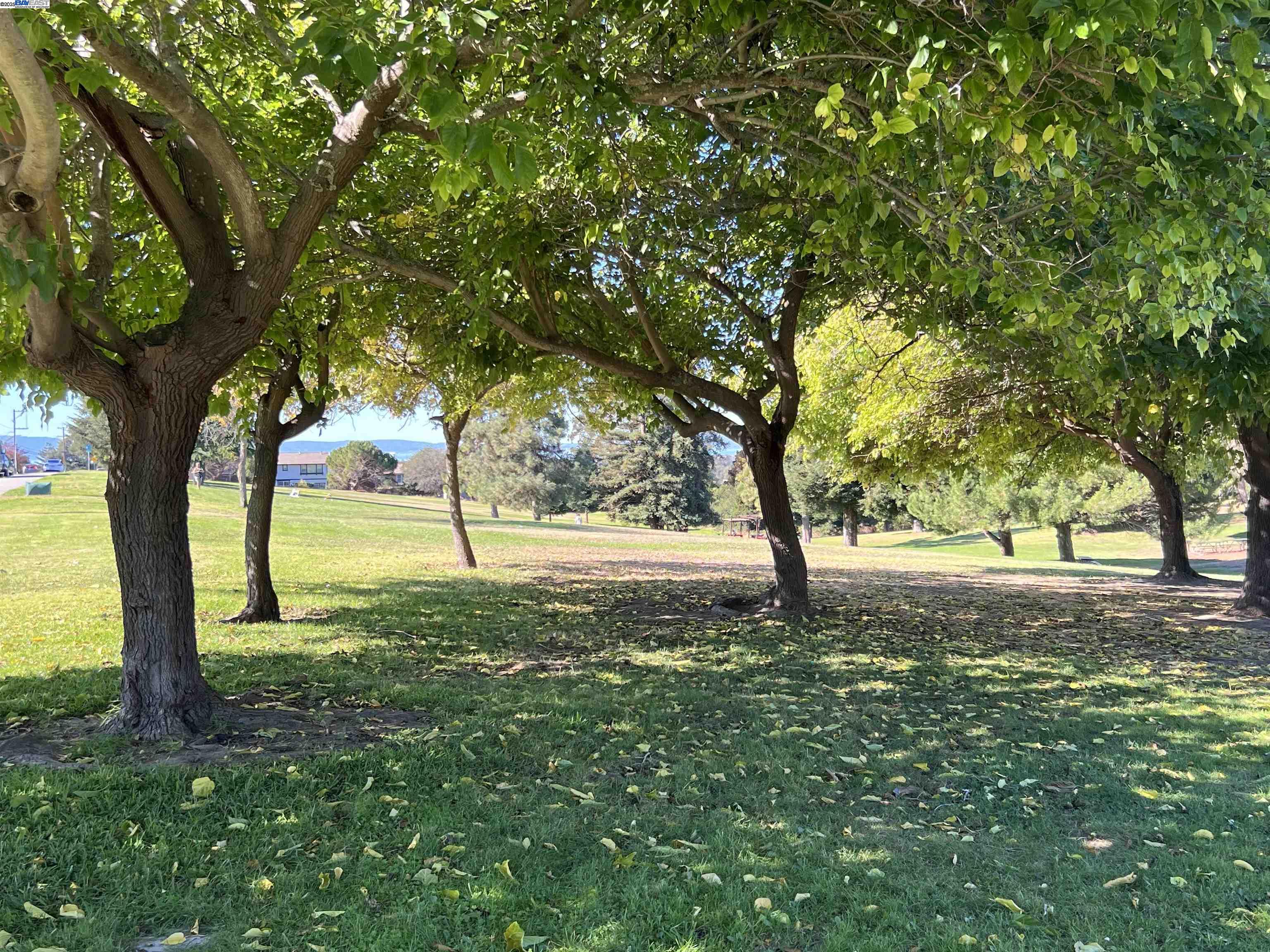 Detail Gallery Image 29 of 31 For 23920 Mayville Dr, Hayward,  CA 94541 - 3 Beds | 2/1 Baths