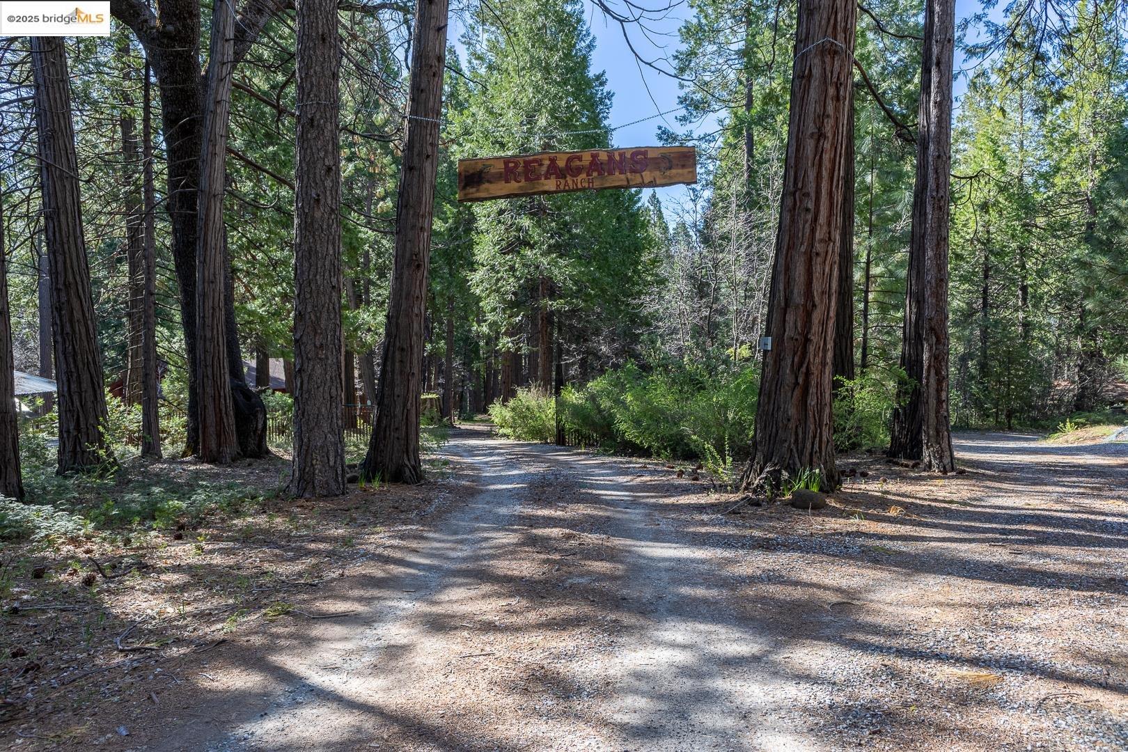Detail Gallery Image 2 of 35 For 19979 Mountain Misery Rd, Twain Harte,  CA 95383 - 3 Beds | 2 Baths