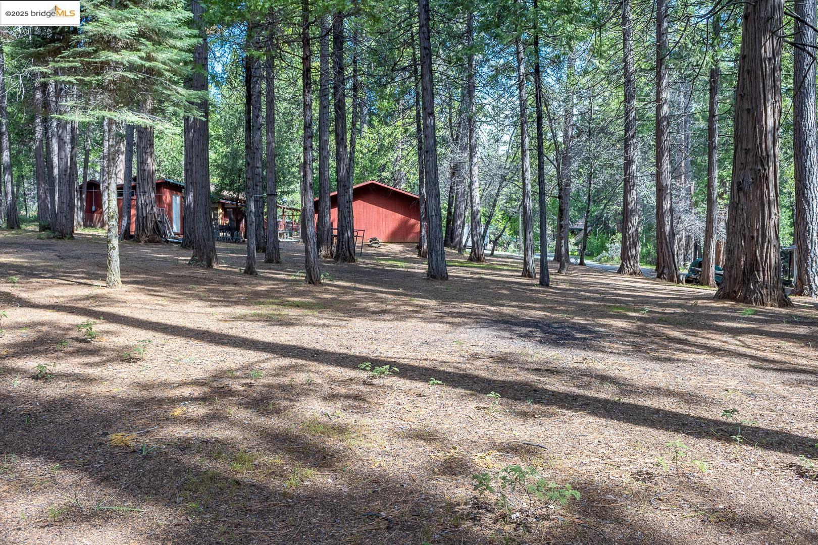 Detail Gallery Image 33 of 35 For 19979 Mountain Misery Rd, Twain Harte,  CA 95383 - 3 Beds | 2 Baths