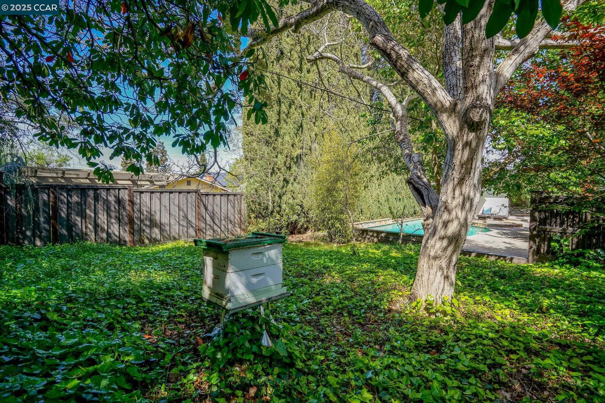Detail Gallery Image 37 of 47 For 4421 Canyon Way, Martinez,  CA 94553-3727 - 3 Beds | 3 Baths