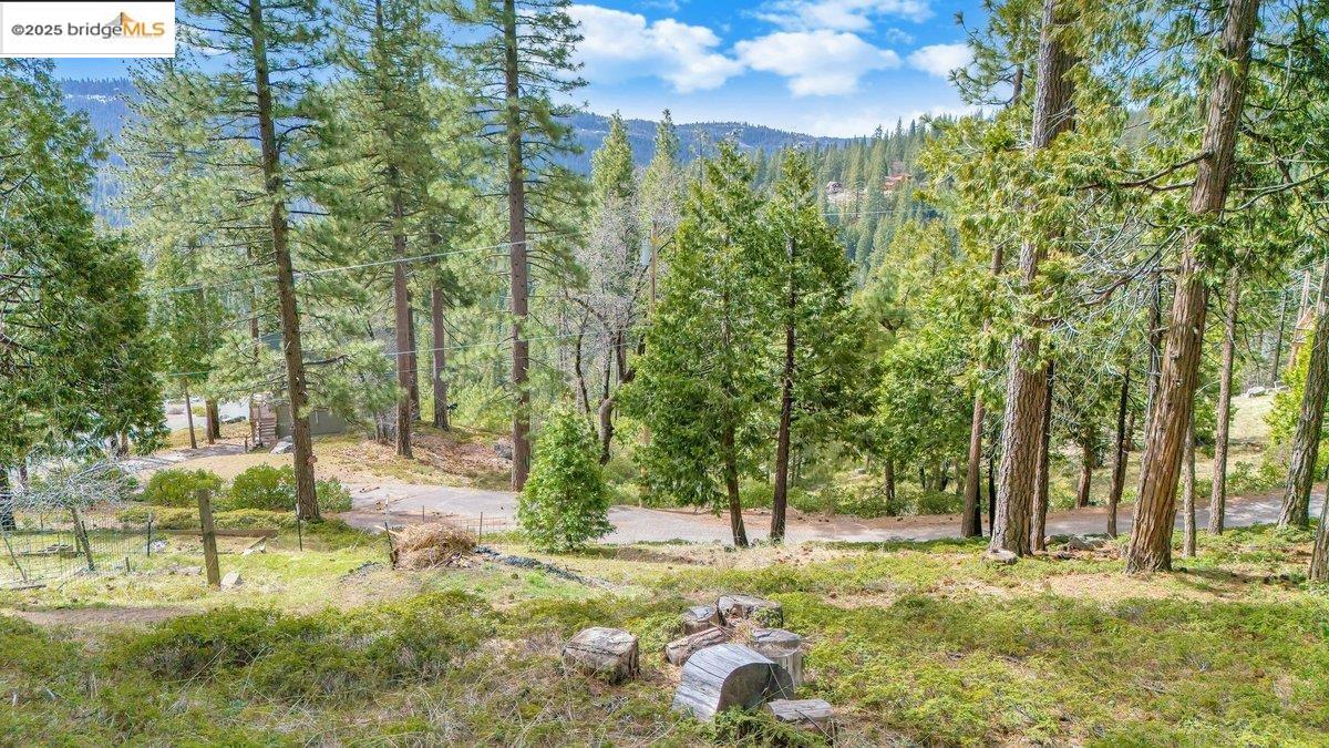 Detail Gallery Image 43 of 48 For 29970 Mariposa Dr, Cold Springs,  CA 95335 - 3 Beds | 2 Baths