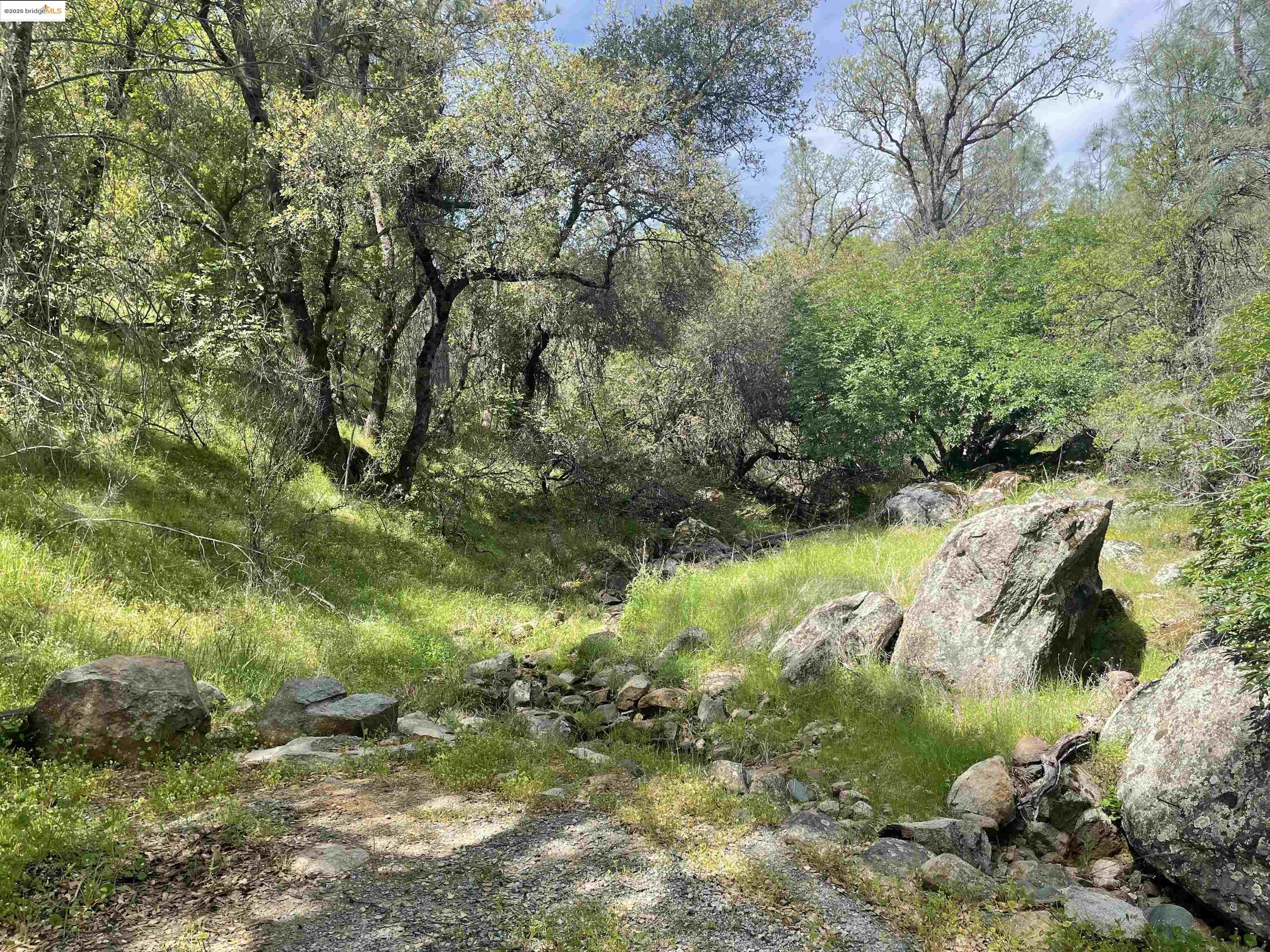 Detail Gallery Image 12 of 14 For 20780 Lower Hillview Dr, Sonora,  CA 95370 - 2 Beds | 2 Baths