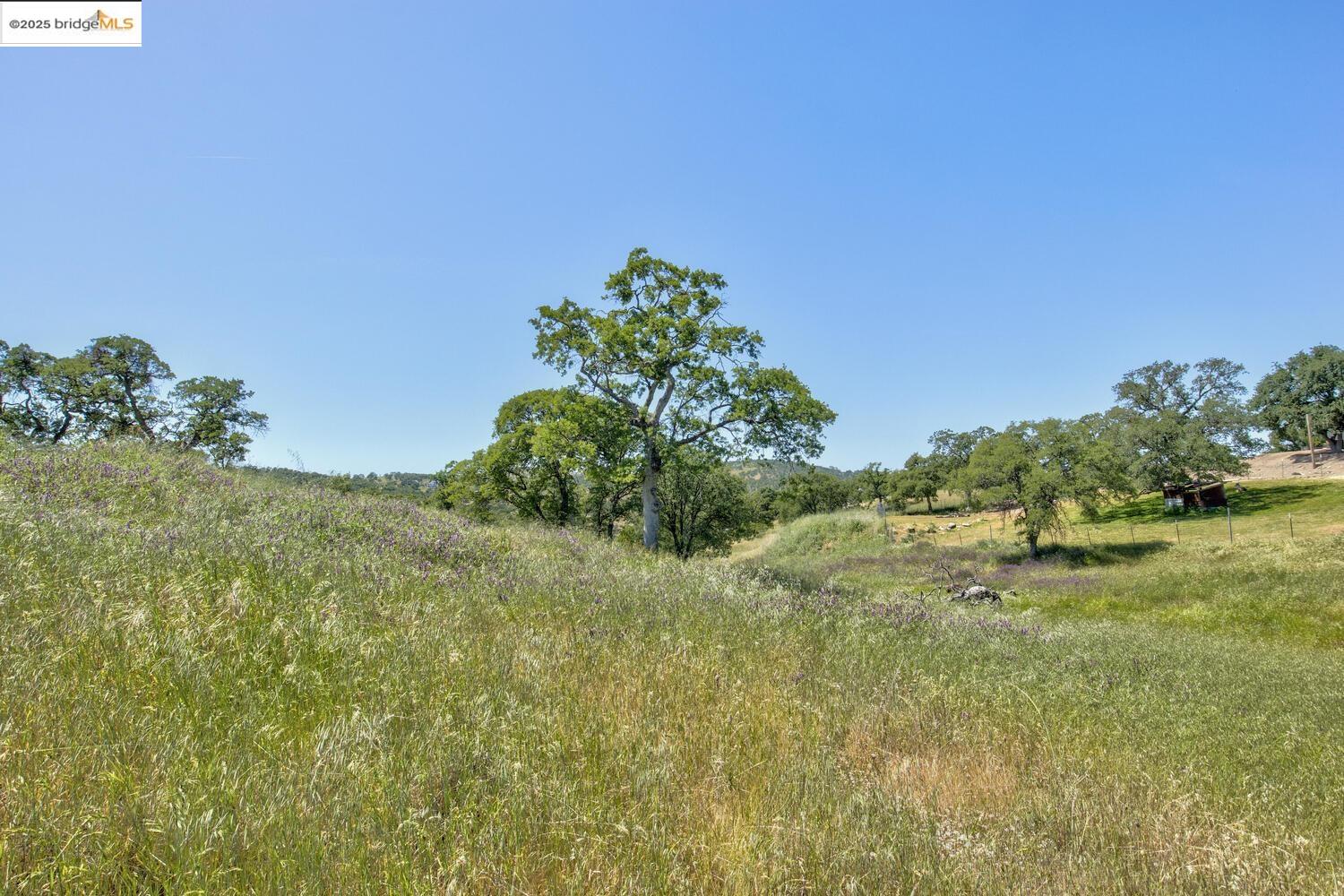Detail Gallery Image 48 of 59 For 2162 Zarzamora, La Grange,  CA 95329 - 3 Beds | 2 Baths