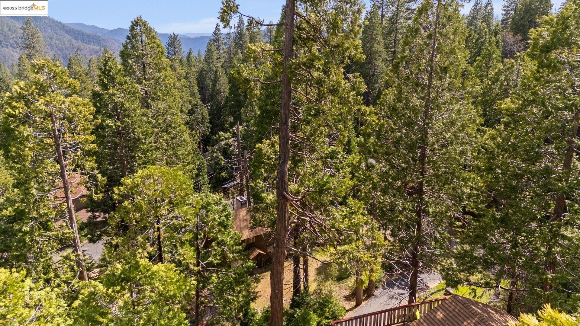 Detail Gallery Image 23 of 29 For 24229 Lama Ct, Mi Wuk Village,  CA 95346 - 3 Beds | 2 Baths