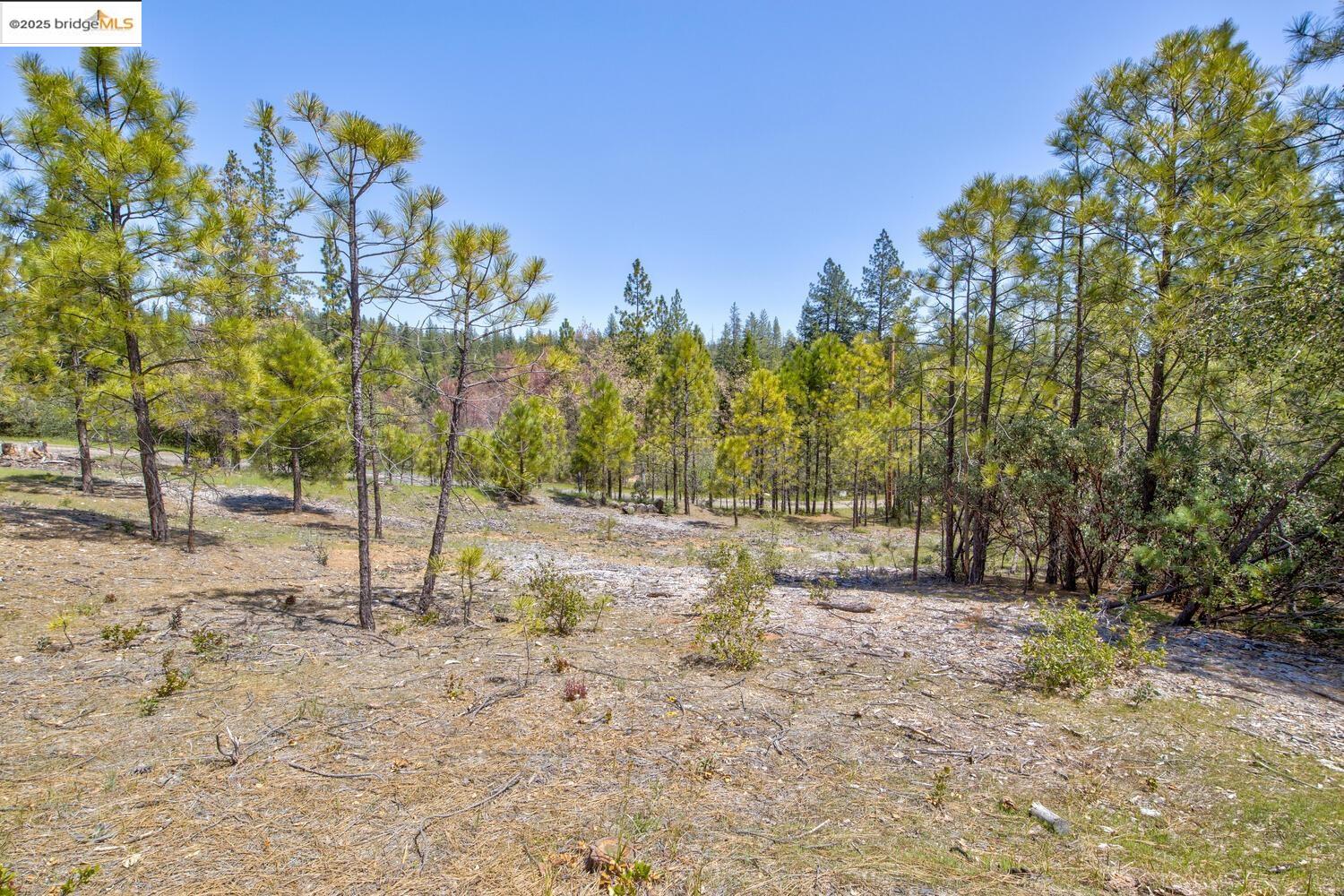 Detail Gallery Image 37 of 47 For 9413 Ponderosa, Coulterville,  CA 95311 - 3 Beds | 2 Baths