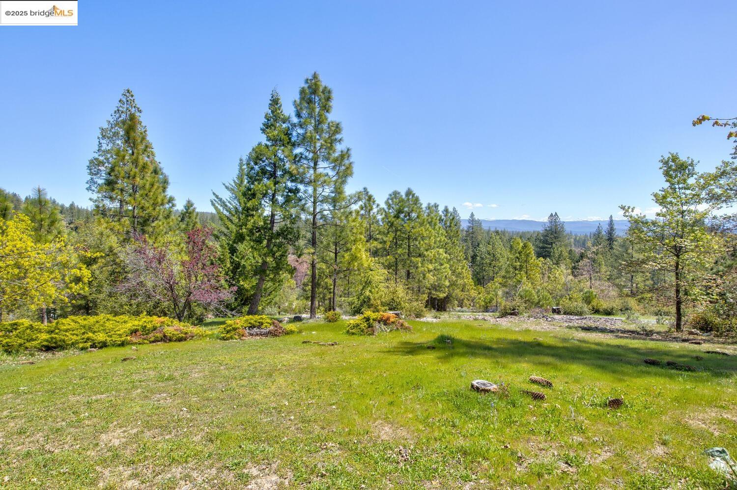 Detail Gallery Image 46 of 47 For 9413 Ponderosa, Coulterville,  CA 95311 - 3 Beds | 2 Baths