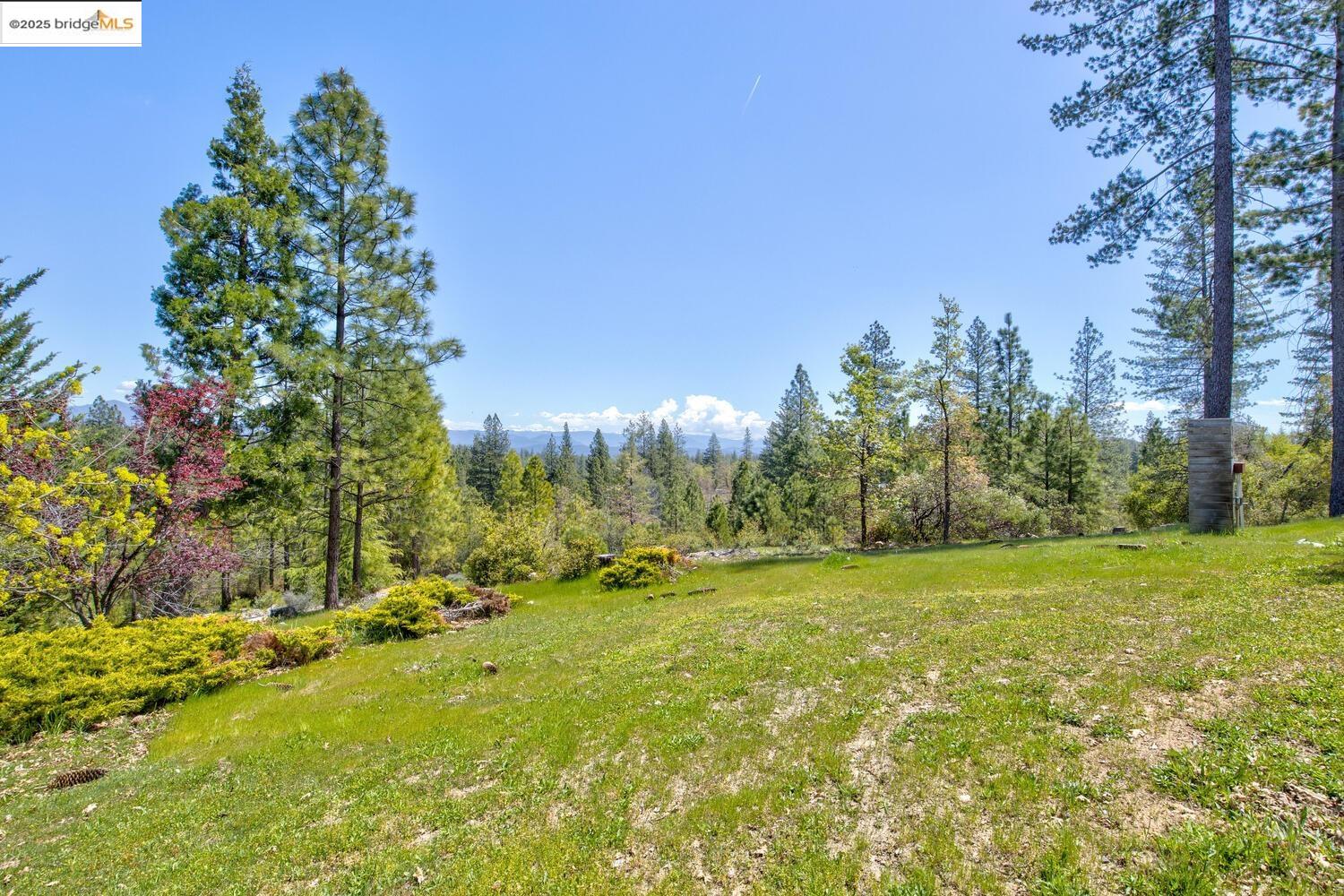 Detail Gallery Image 47 of 47 For 9413 Ponderosa, Coulterville,  CA 95311 - 3 Beds | 2 Baths