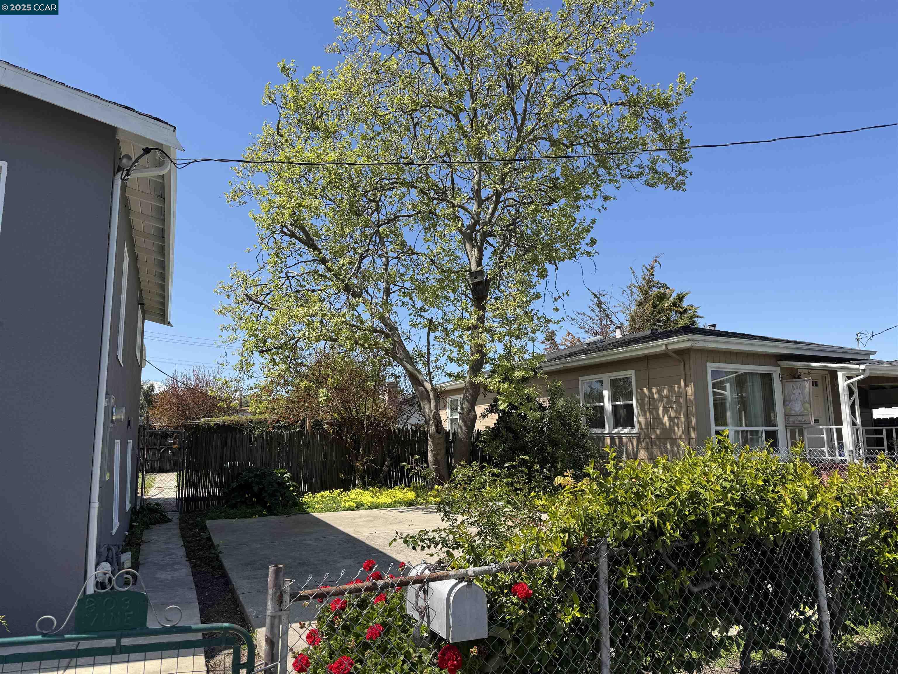 803 Vine Ave, Martinez, California 94553, 3 Bedrooms Bedrooms, 7 Rooms Rooms,2 BathroomsBathrooms,Residential Lease,For Rent,803 Vine Ave,41093281