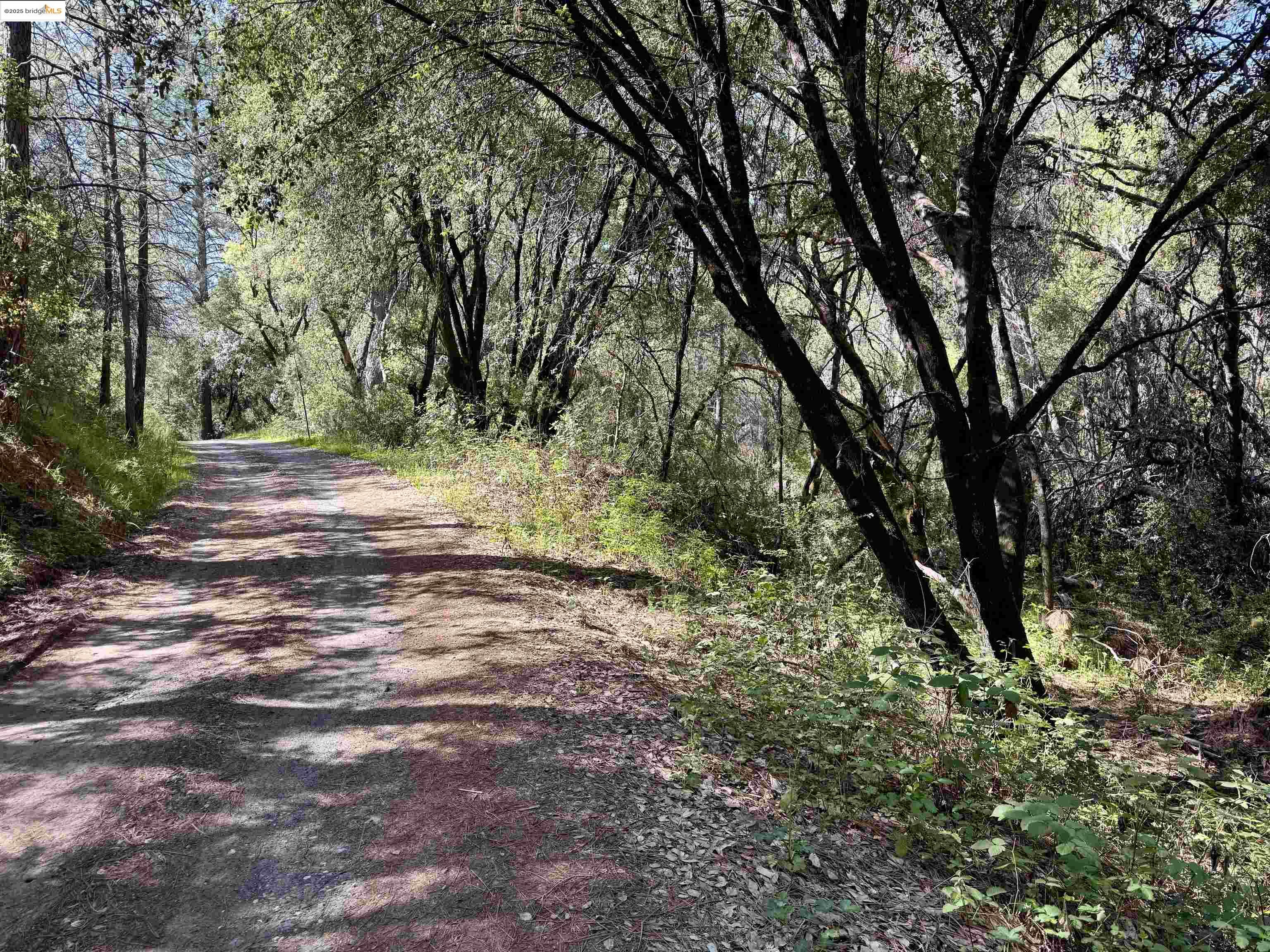 Detail Gallery Image 3 of 8 For 21893 Sawmill Flat Rd, Sonora,  CA 95370 - – Beds | – Baths