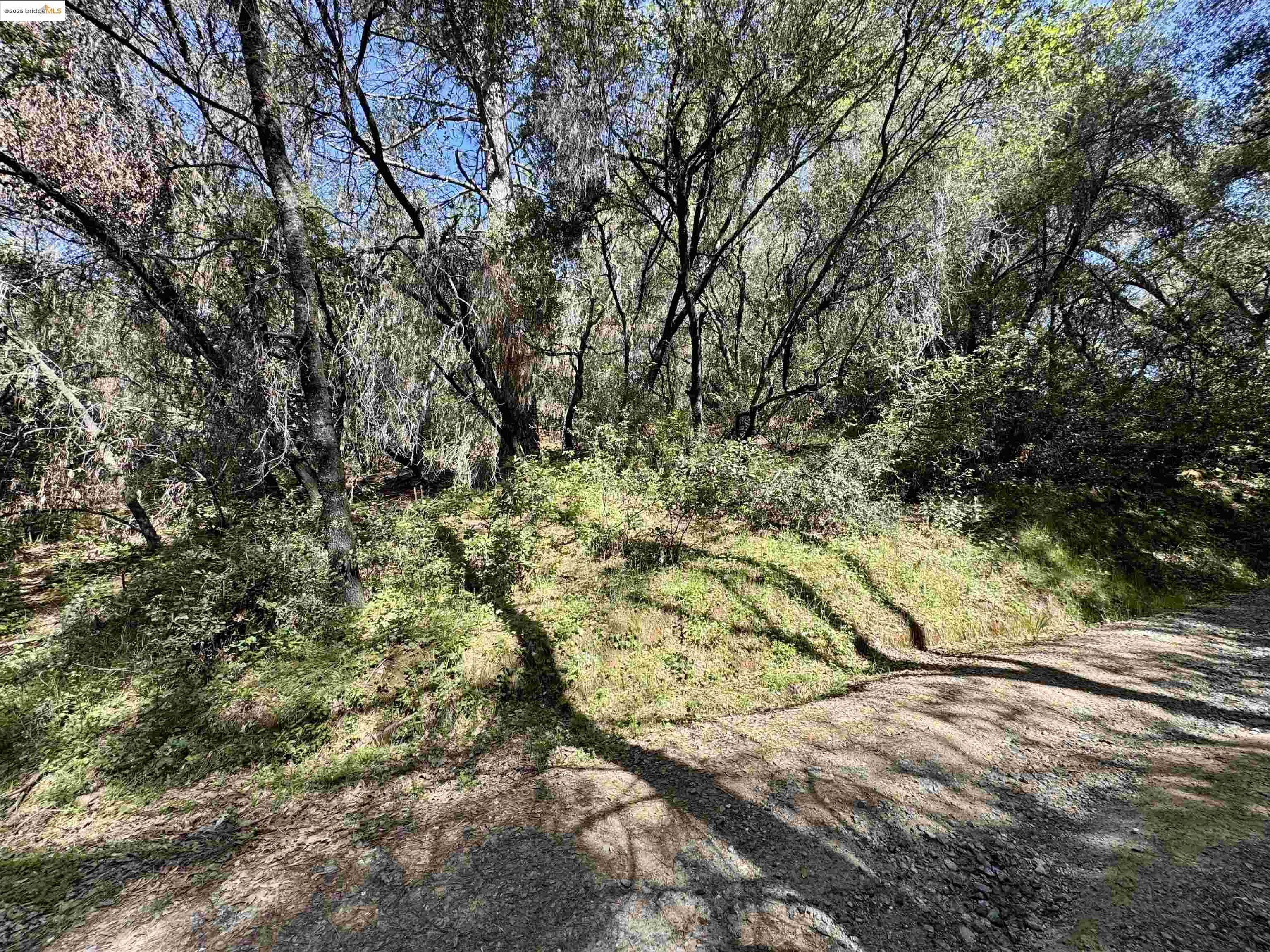 Detail Gallery Image 8 of 8 For 21893 Sawmill Flat Rd, Sonora,  CA 95370 - – Beds | – Baths