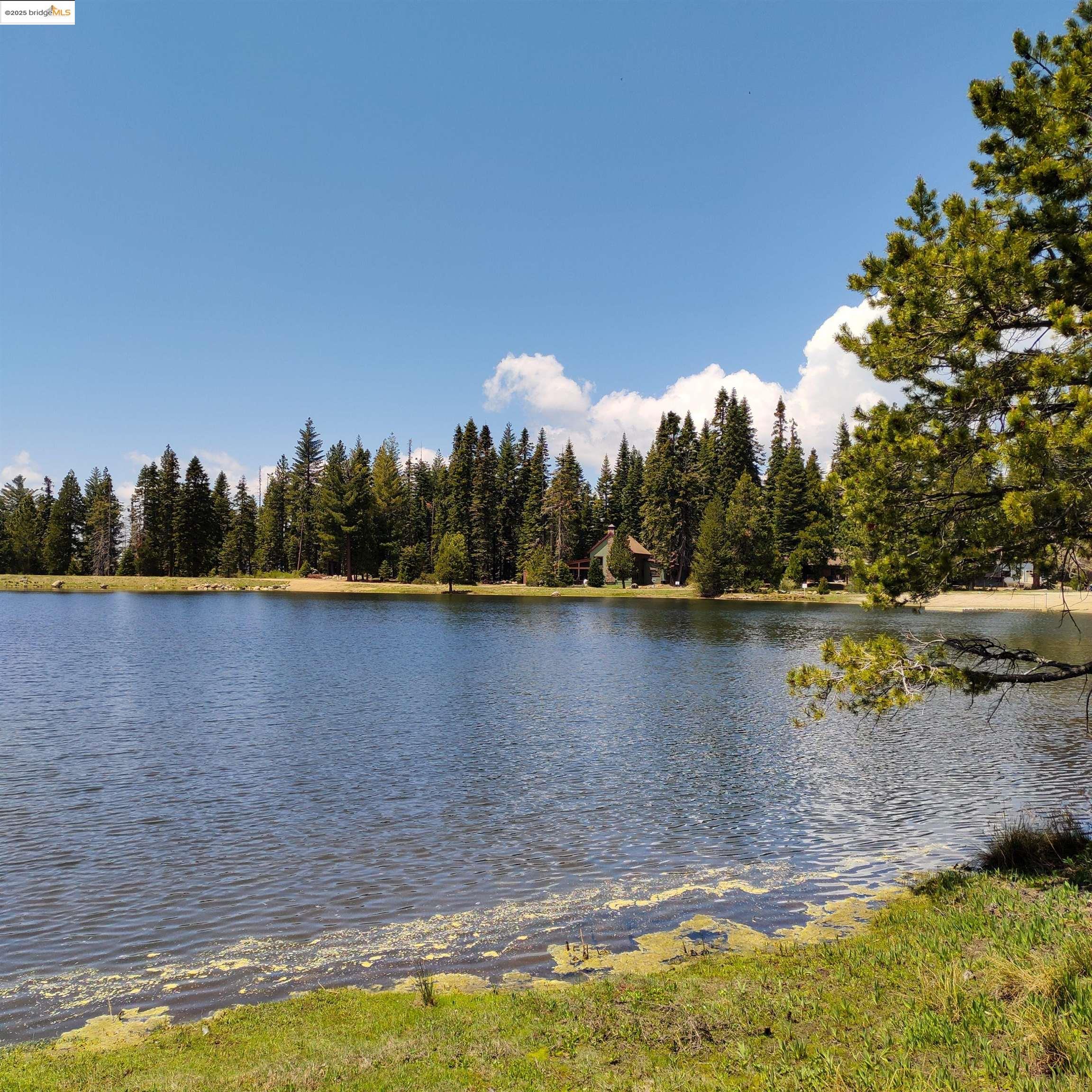 Detail Gallery Image 44 of 49 For 33840 Upper Leland Rd a,  Pinecrest,  CA 95375 - 3 Beds | 2 Baths