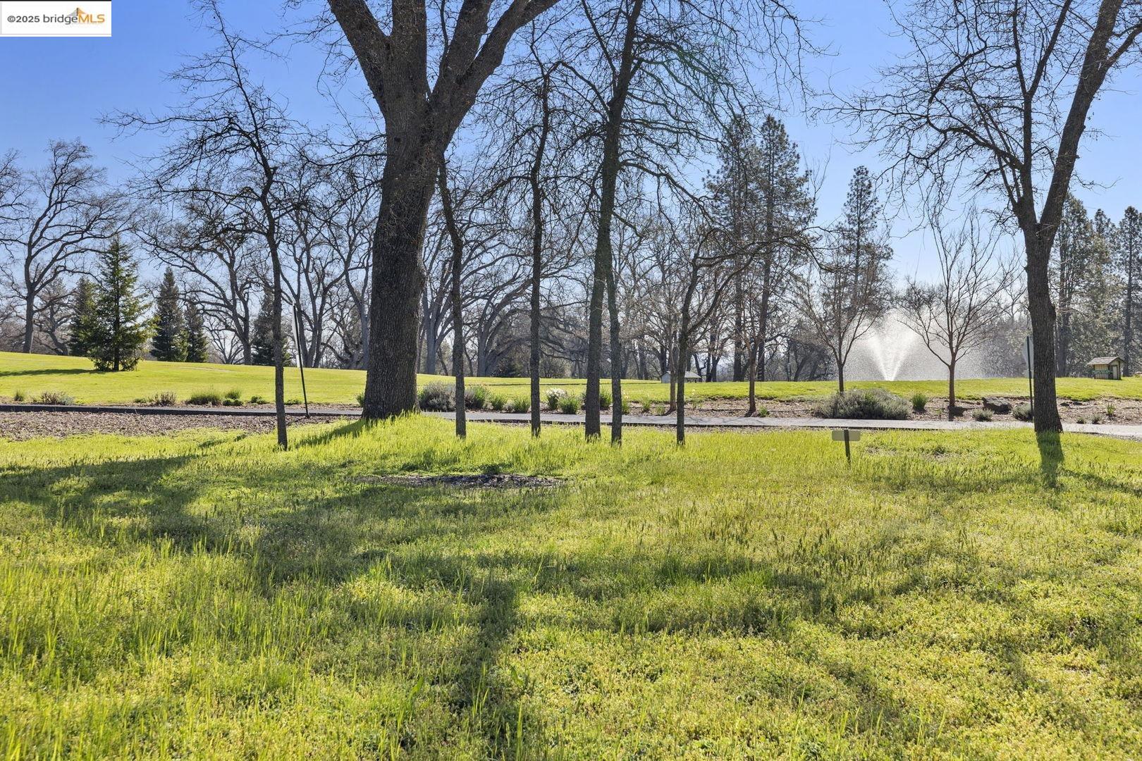 Detail Gallery Image 3 of 15 For 0000 Tannahill Dr., Groveland,  CA 95321 - – Beds | – Baths