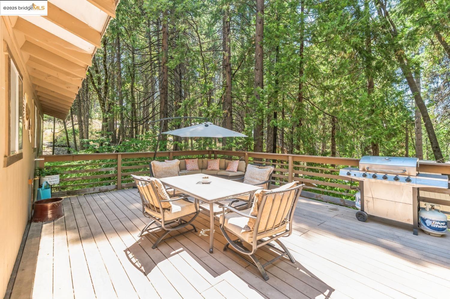 Detail Gallery Image 3 of 16 For 1254 Ponderosa Way 1, Arnold,  CA 95223 - 3 Beds | 1/1 Baths