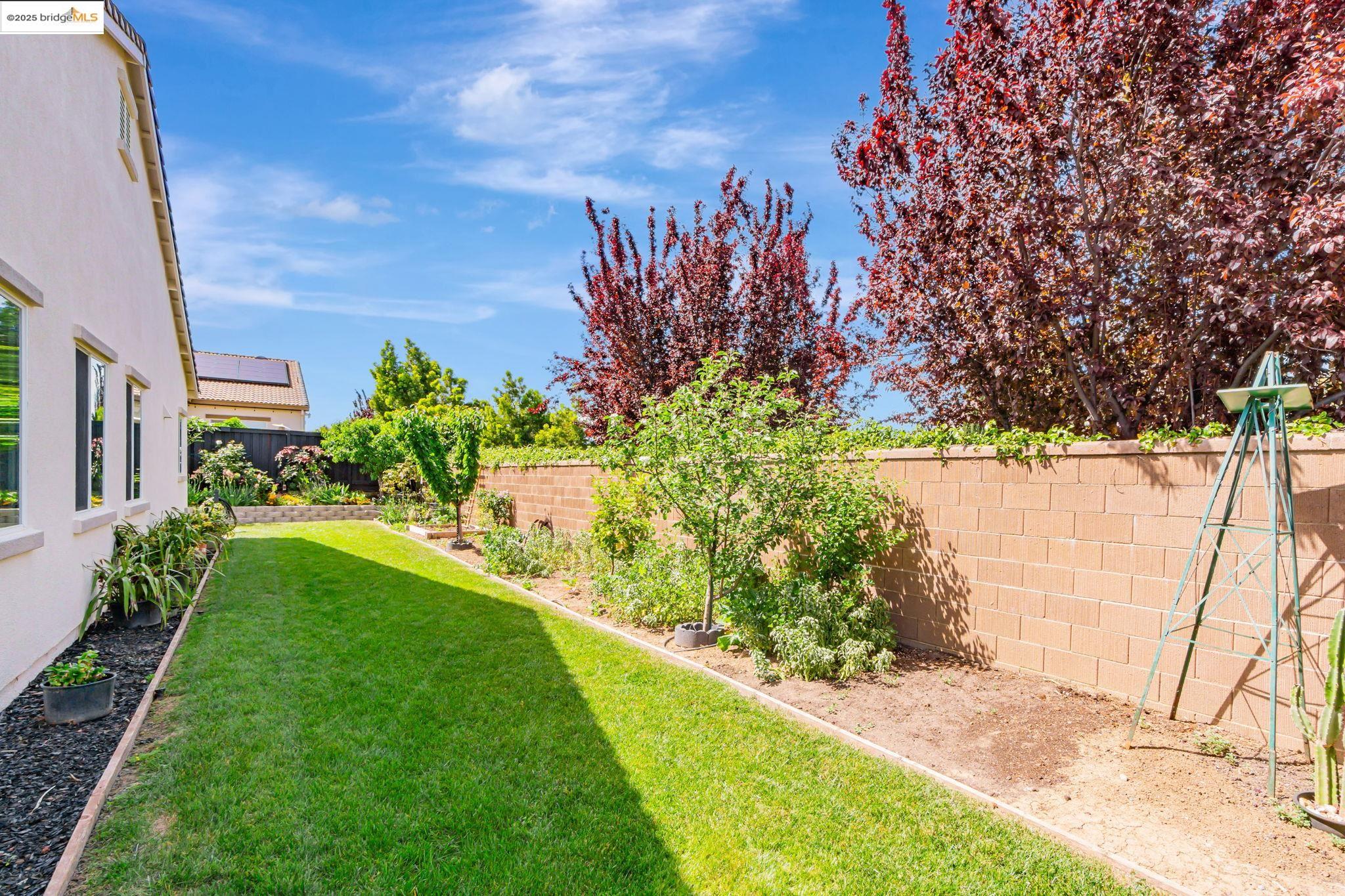 Detail Gallery Image 54 of 60 For 141 French Dr, Brentwood,  CA 94513 - 4 Beds | 3 Baths