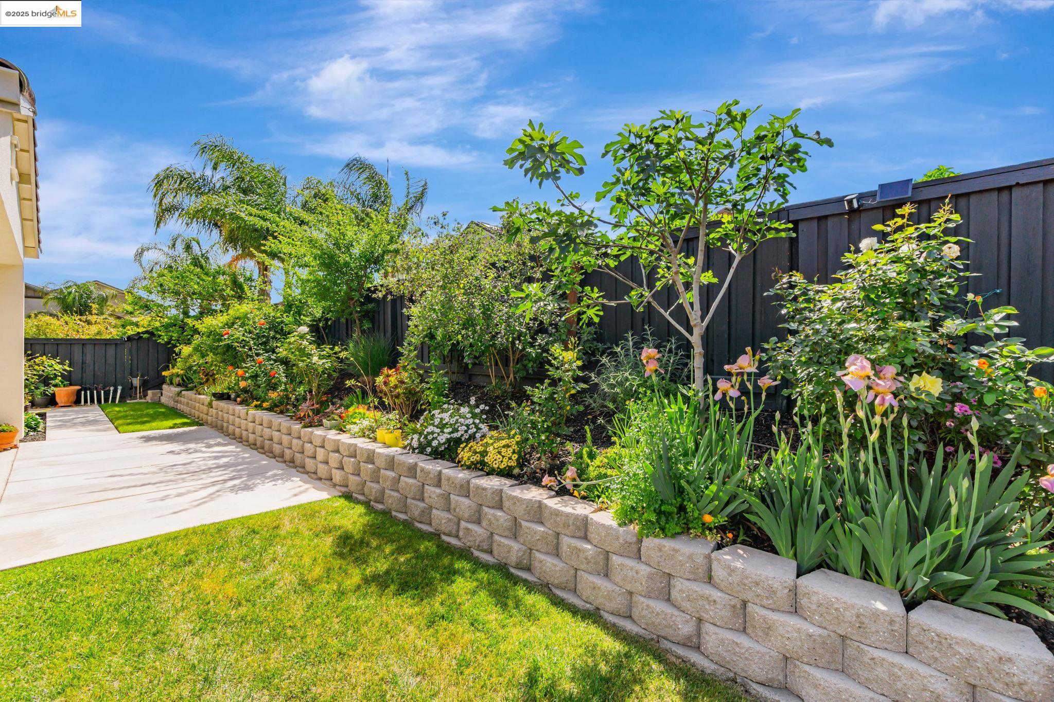 Detail Gallery Image 55 of 60 For 141 French Dr, Brentwood,  CA 94513 - 4 Beds | 3 Baths