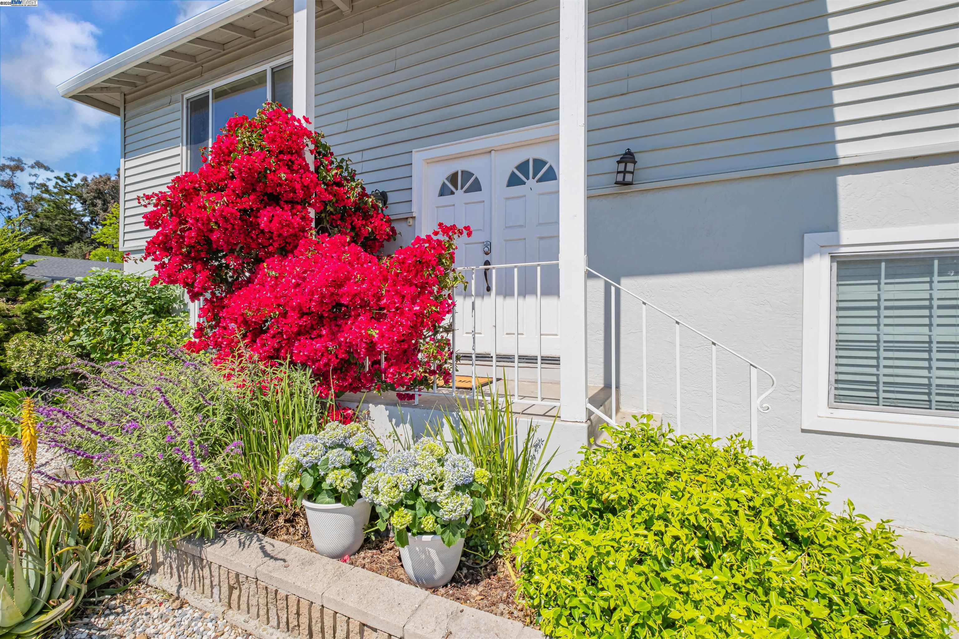 Detail Gallery Image 5 of 44 For 431 Monaco Ave, Union City,  CA 94587 - 4 Beds | 2 Baths
