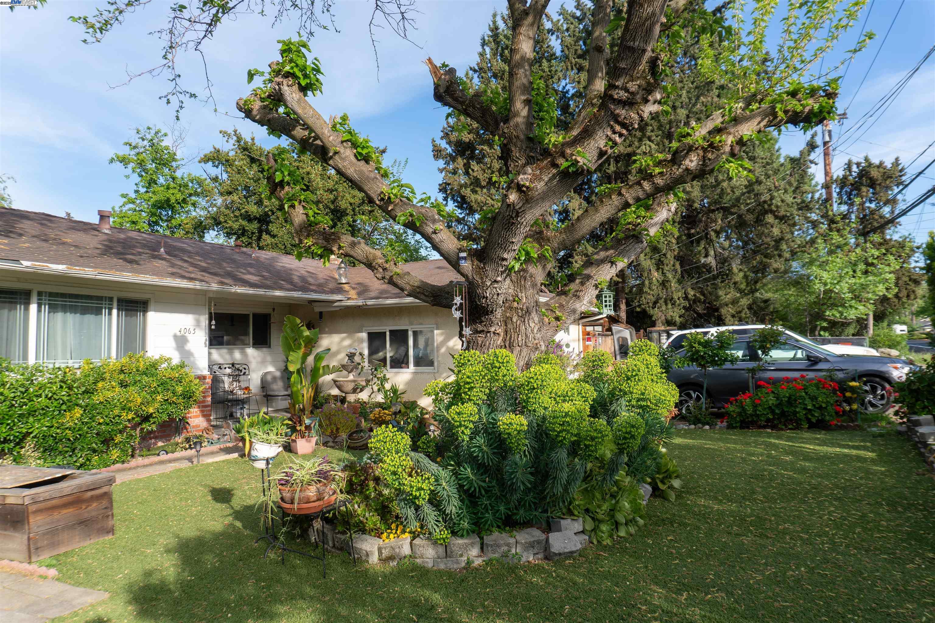 Detail Gallery Image 13 of 32 For 4065 Cowell Rd, Concord,  CA 94518 - 3 Beds | 2 Baths