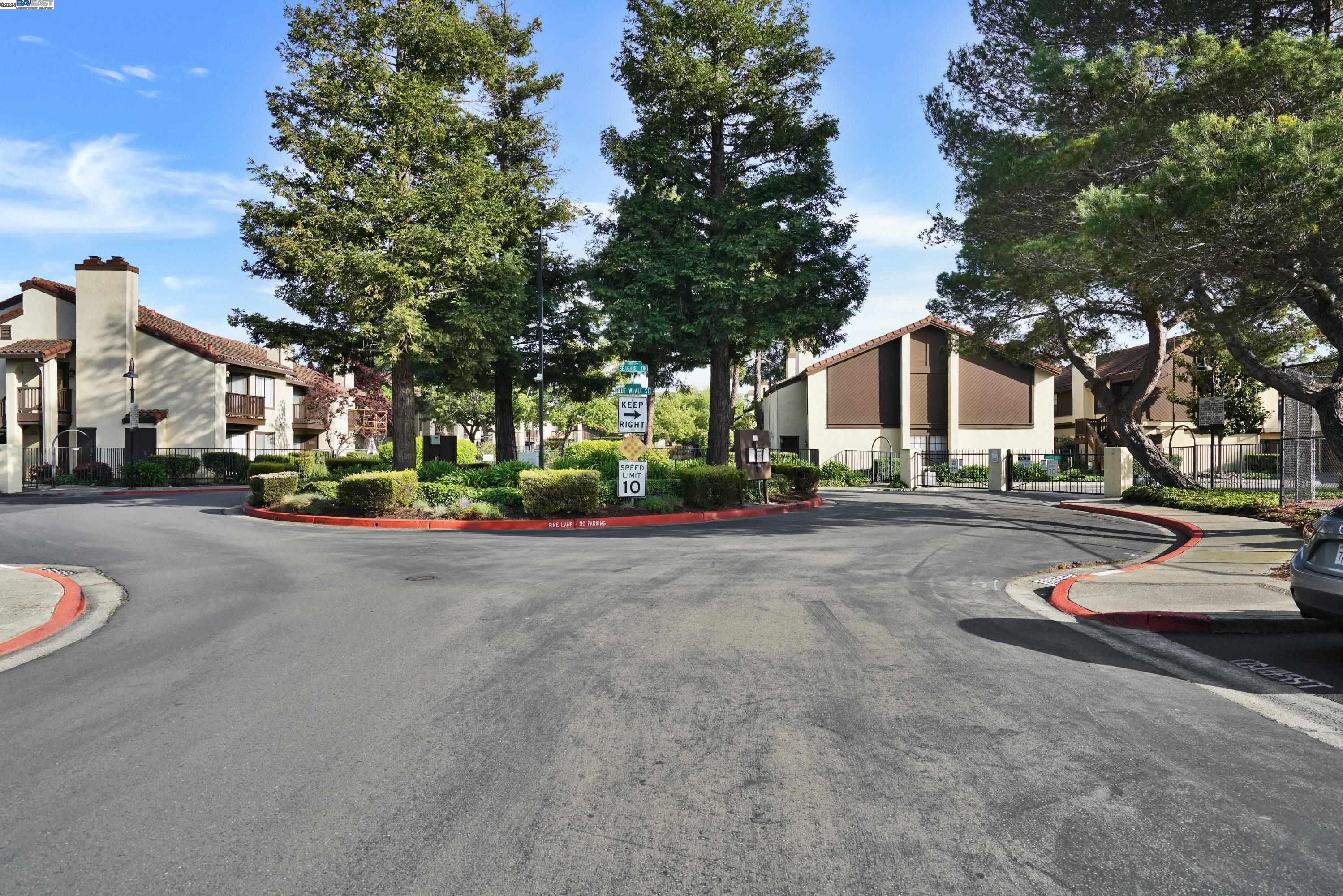 Photo #35: 41093806 Listing: Photo #35