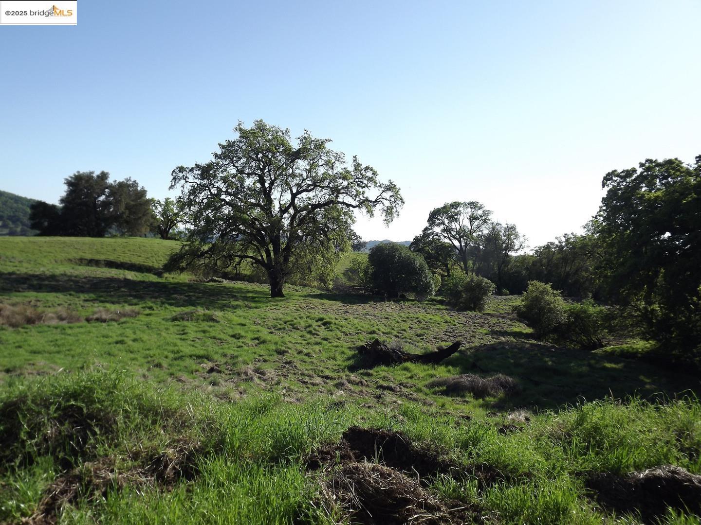 Detail Gallery Image 3 of 10 For 39305 Pine Mountain Rd, Cloverdale,  CA 95425 - – Beds | – Baths