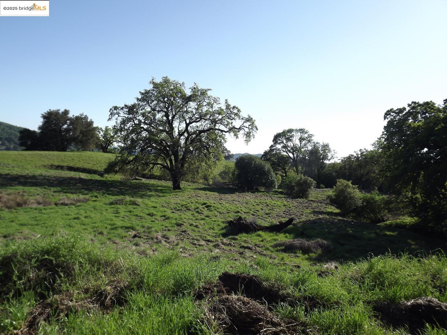 Detail Gallery Image 3 of 11 For 39305 Pine Mountain Rd, Cloverdale,  CA 95425 - – Beds | – Baths