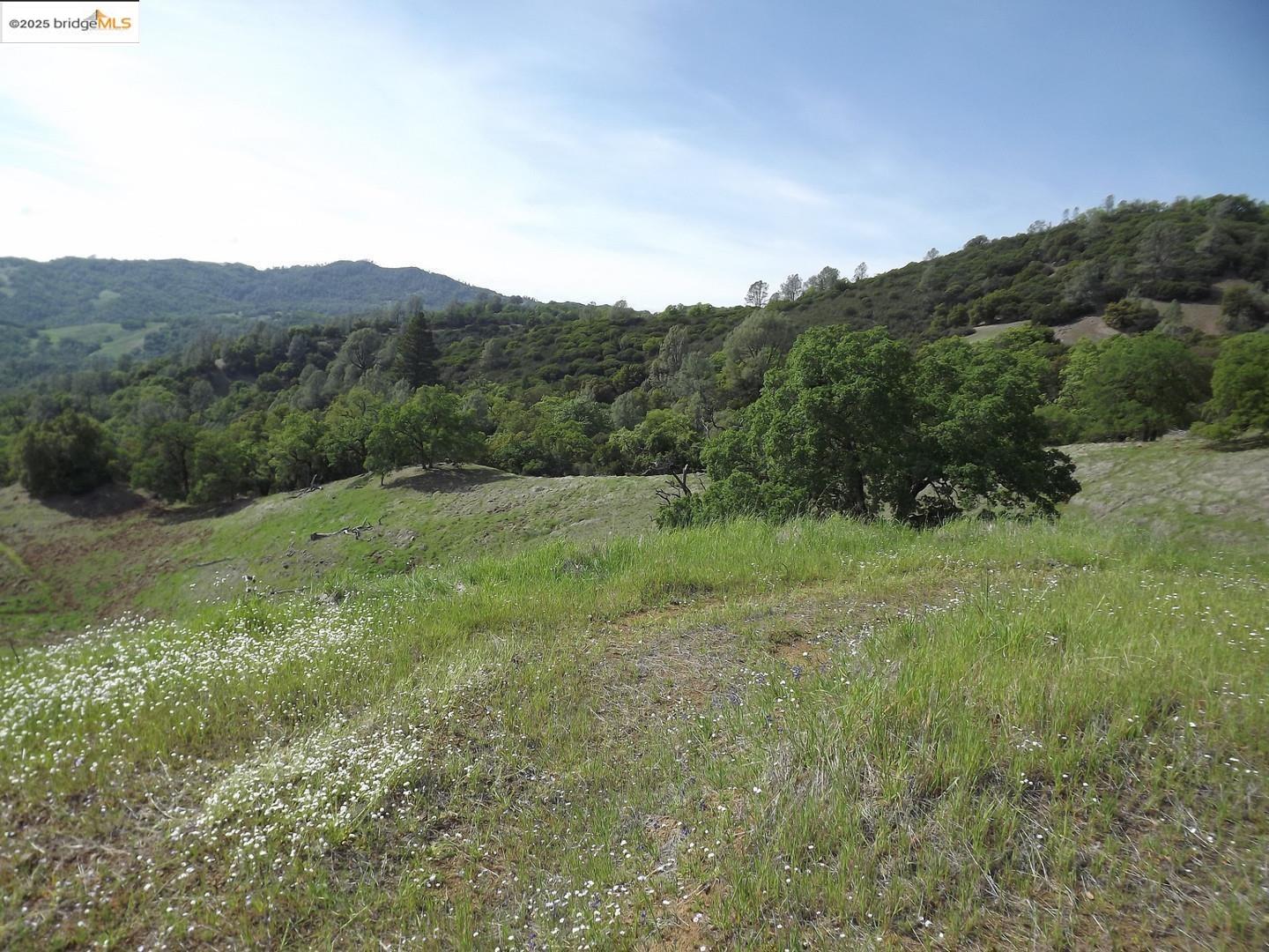 Detail Gallery Image 7 of 11 For 39305 Pine Mountain Rd, Cloverdale,  CA 95425 - – Beds | – Baths