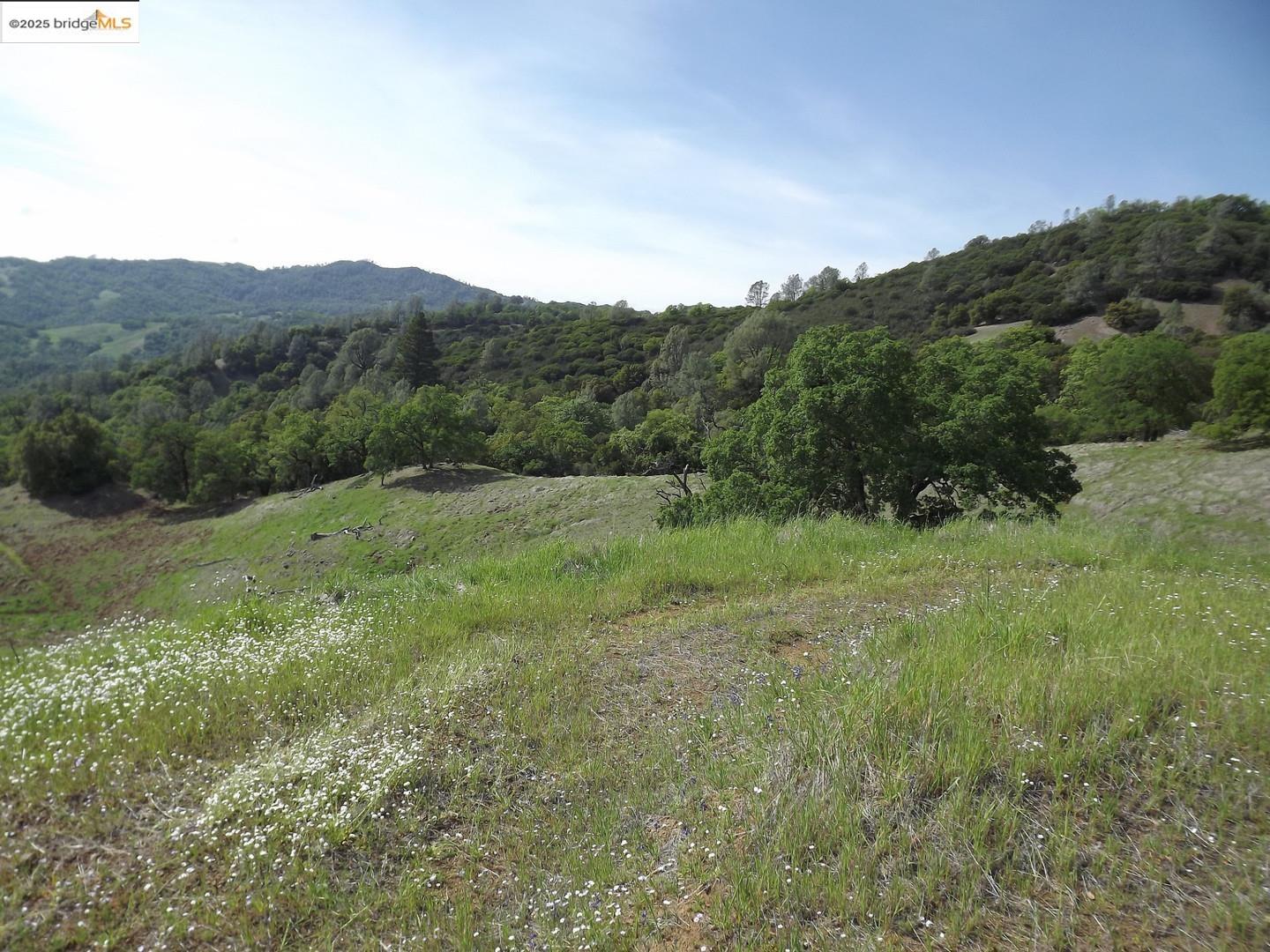 Detail Gallery Image 7 of 16 For 39305 Pine Mountain Rd, Cloverdale,  CA 95425 - – Beds | – Baths