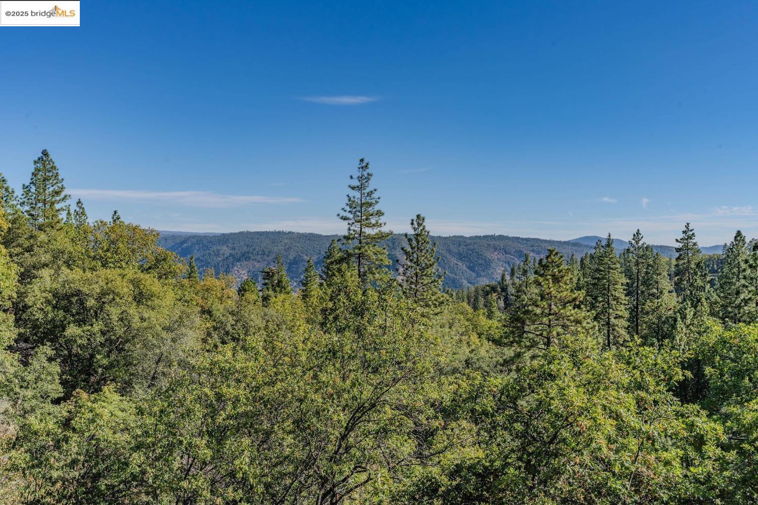 Detail Gallery Image 55 of 60 For 5569 Campfire Court 1, Hathaway Pines,  CA 95223 - 4 Beds | 2 Baths