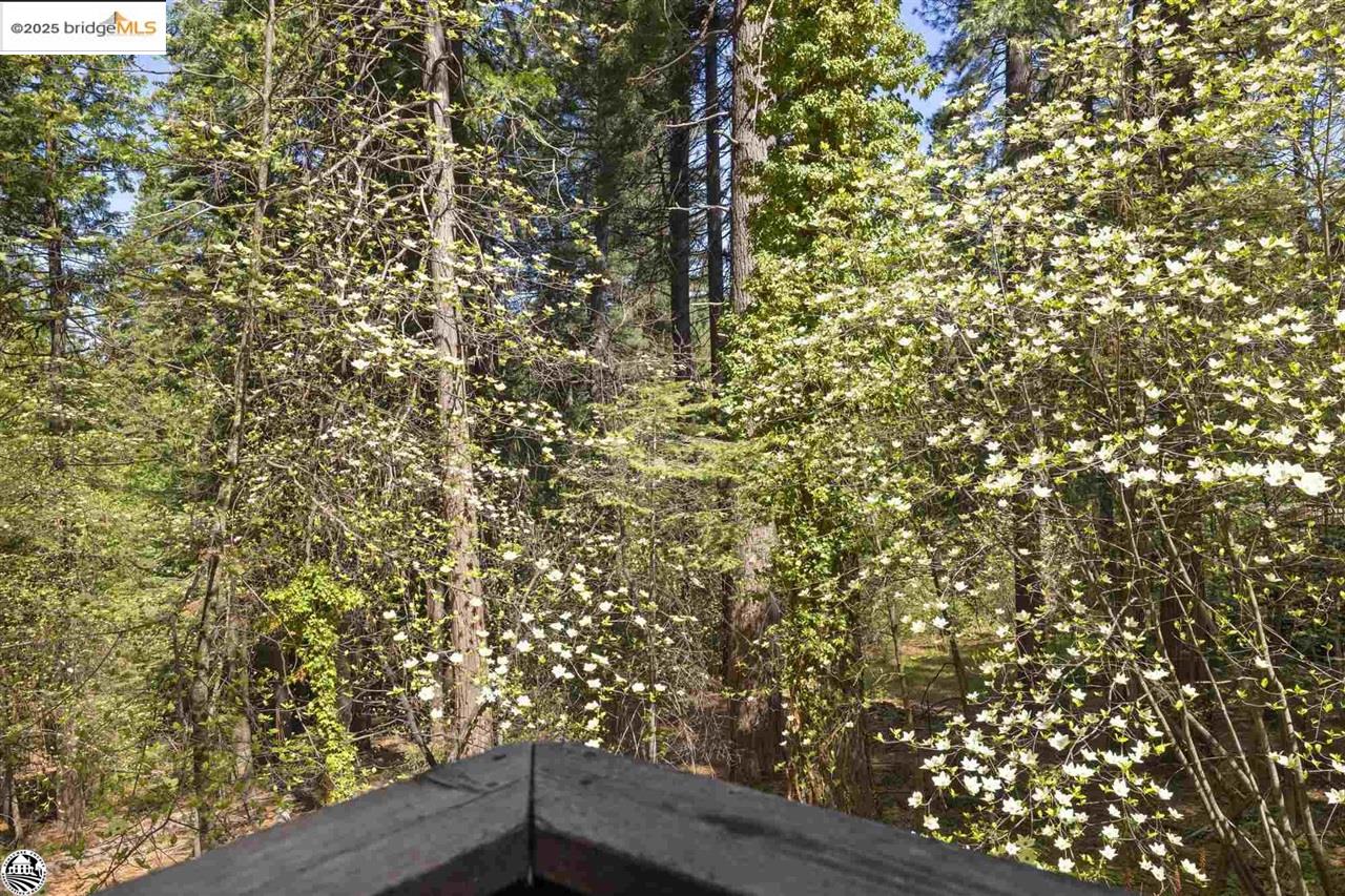 Detail Gallery Image 24 of 32 For 24748 Quartz, Mi Wuk Village,  CA 95335 - 3 Beds | 2 Baths