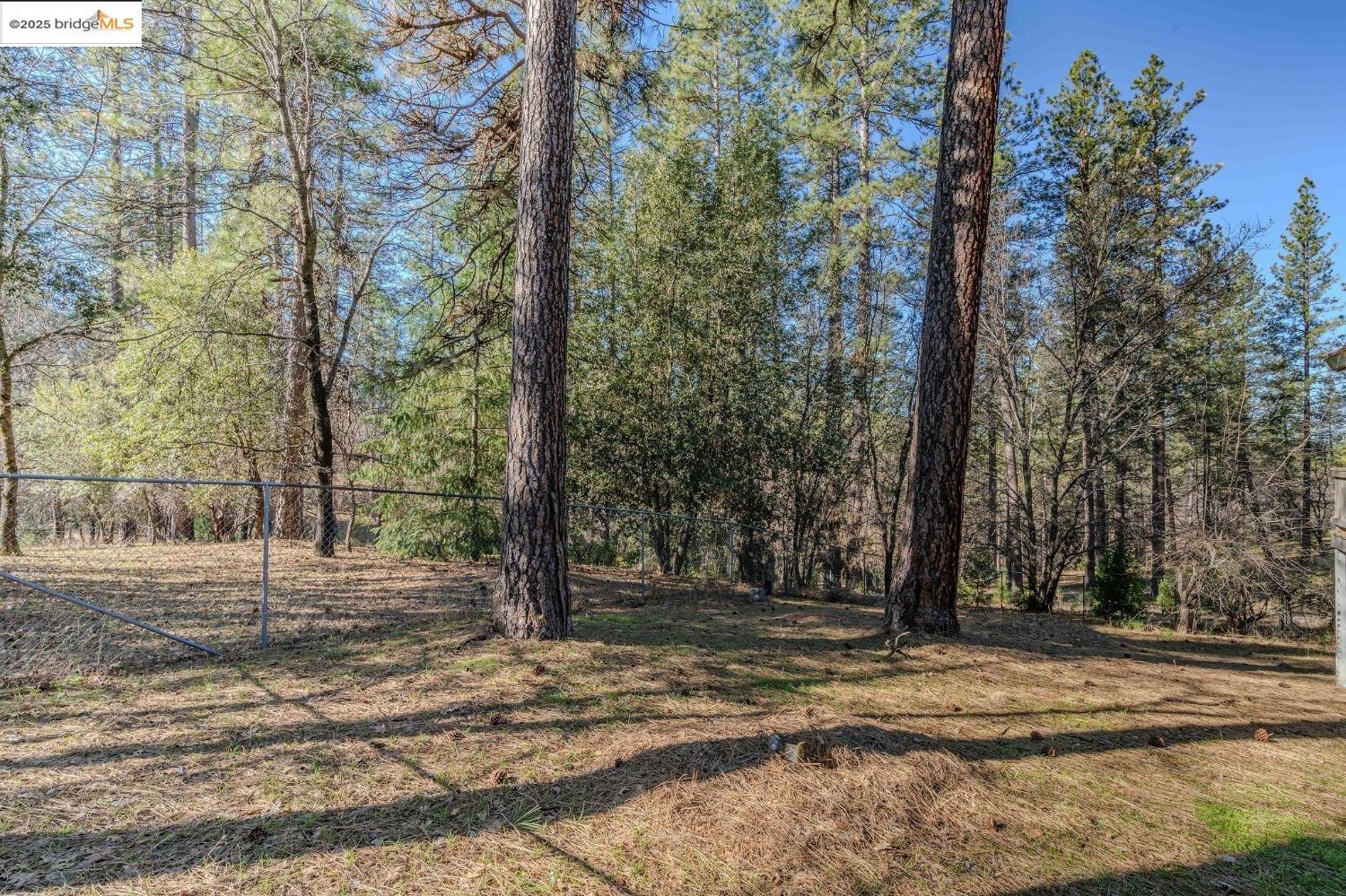 Detail Gallery Image 4 of 36 For 1515 Cathey Lane 1, Mokelumne Hill,  CA 95245 - 3 Beds | 2 Baths