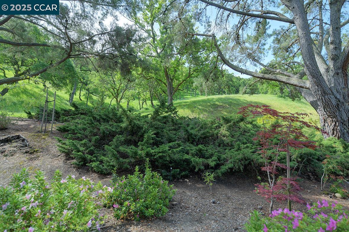 Detail Gallery Image 42 of 56 For 1317 Stanley Dollar Dr #4,  Walnut Creek,  CA 94595 - 2 Beds | 2 Baths