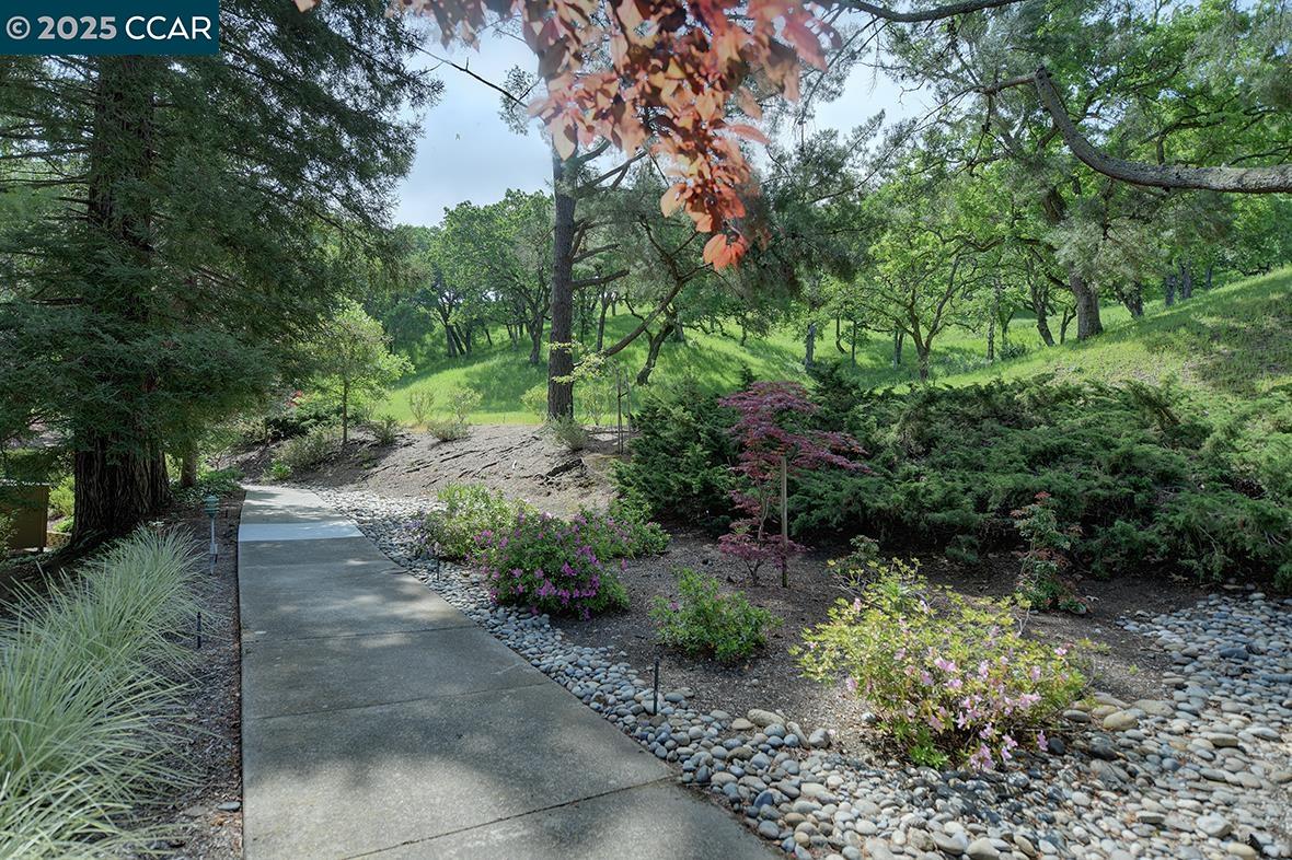 Detail Gallery Image 43 of 56 For 1317 Stanley Dollar Dr #4,  Walnut Creek,  CA 94595 - 2 Beds | 2 Baths