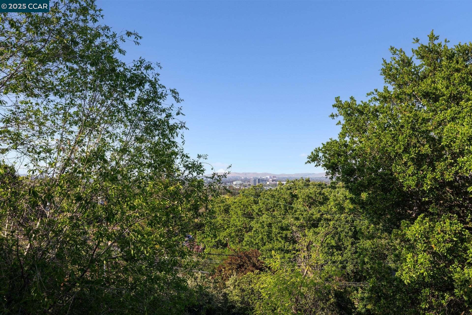 Detail Gallery Image 11 of 33 For 1658 Terrace Way, Walnut Creek,  CA 94597 - 2 Beds | 2 Baths