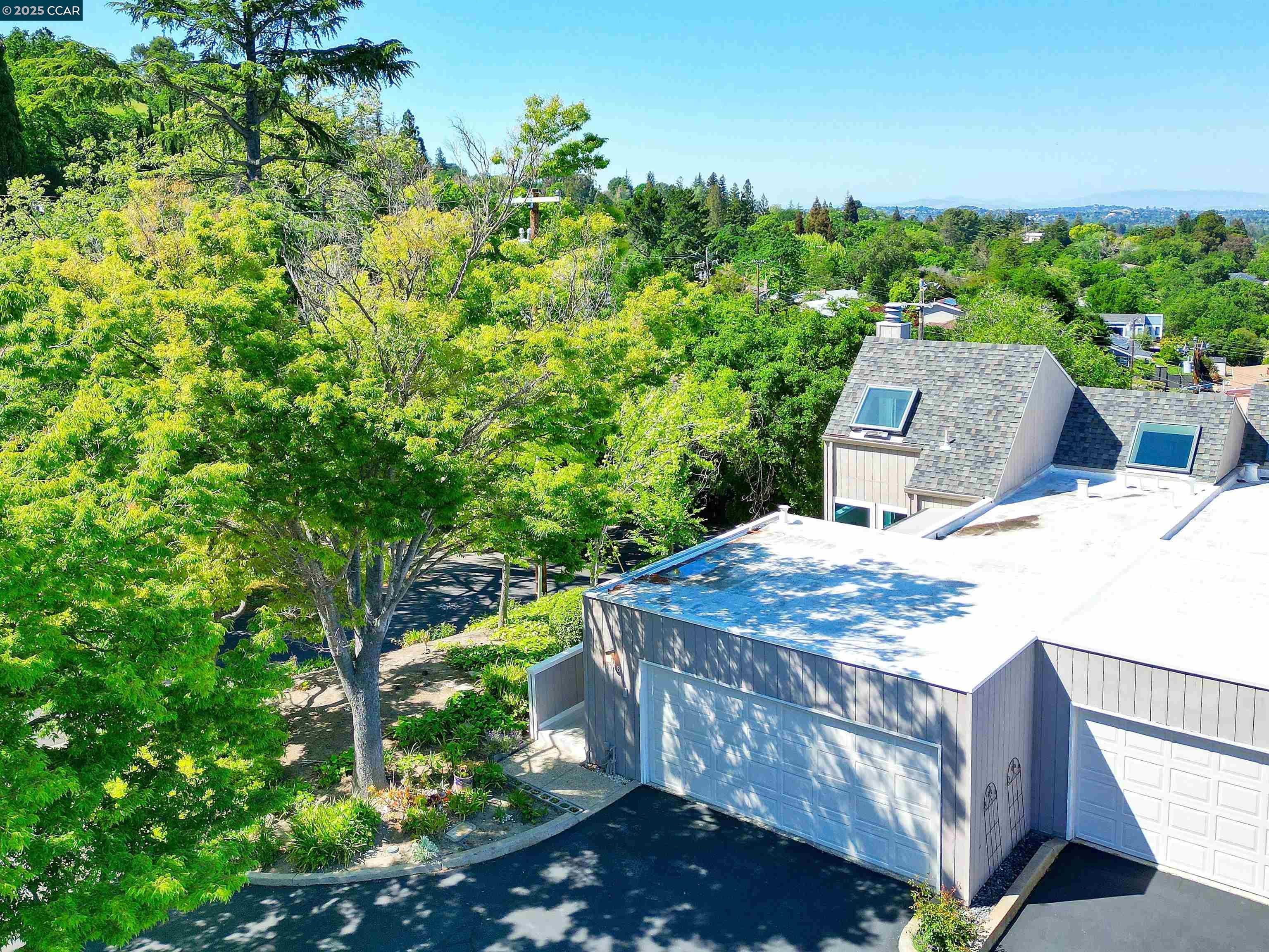 Detail Gallery Image 7 of 33 For 1658 Terrace Way, Walnut Creek,  CA 94597 - 2 Beds | 2 Baths