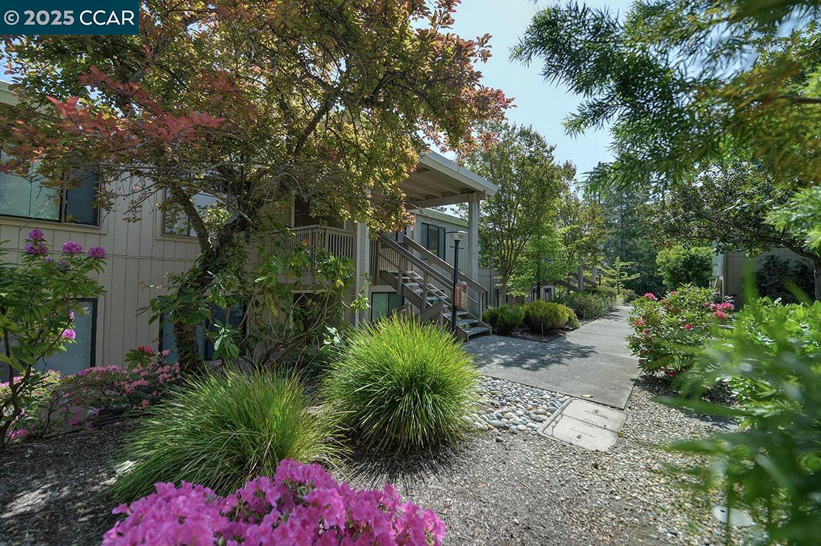 Photo #3: 41094067 Listing 