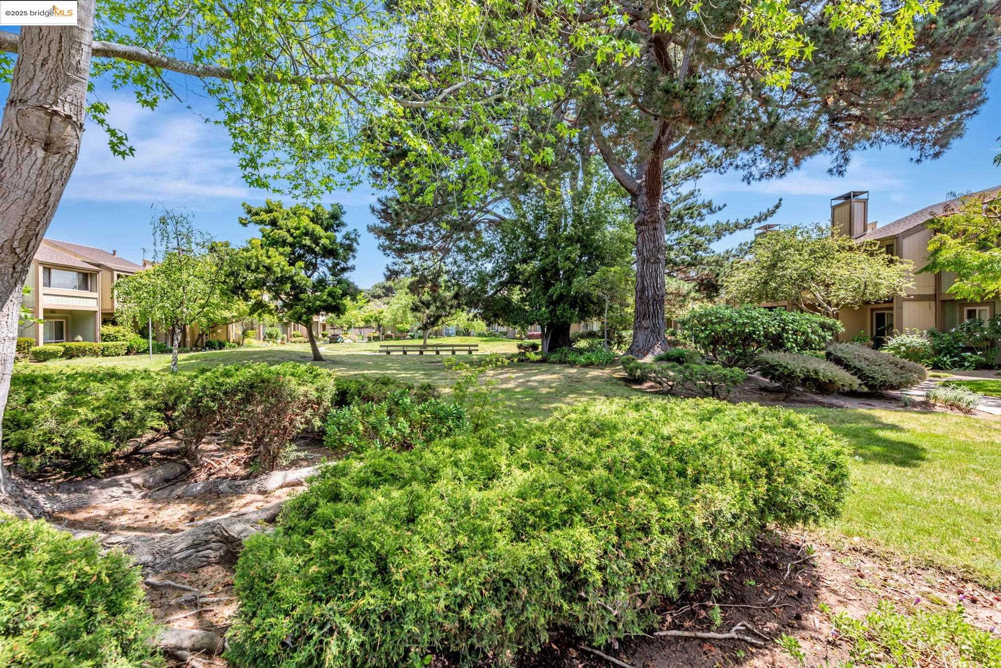 Photo #36: 41094169 Listing: Photo #36