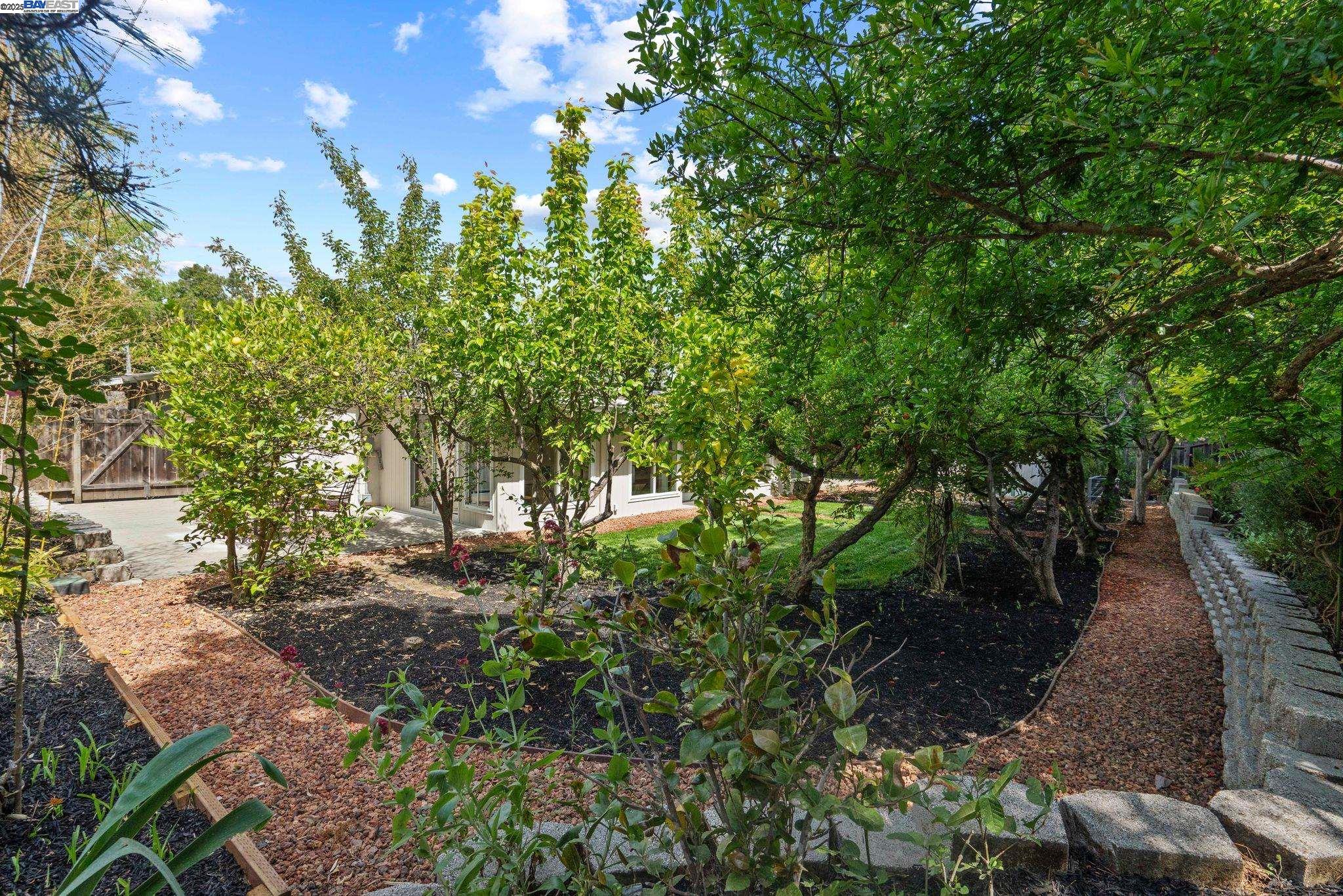 Detail Gallery Image 35 of 45 For 2371 Mallard Dr, Walnut Creek,  CA 94597 - 3 Beds | 2 Baths
