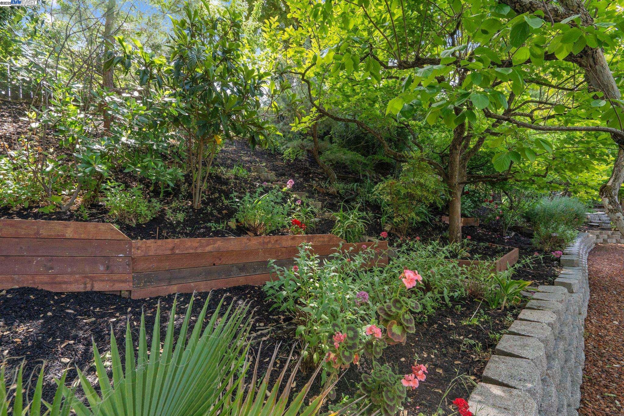 Detail Gallery Image 37 of 45 For 2371 Mallard Dr, Walnut Creek,  CA 94597 - 3 Beds | 2 Baths
