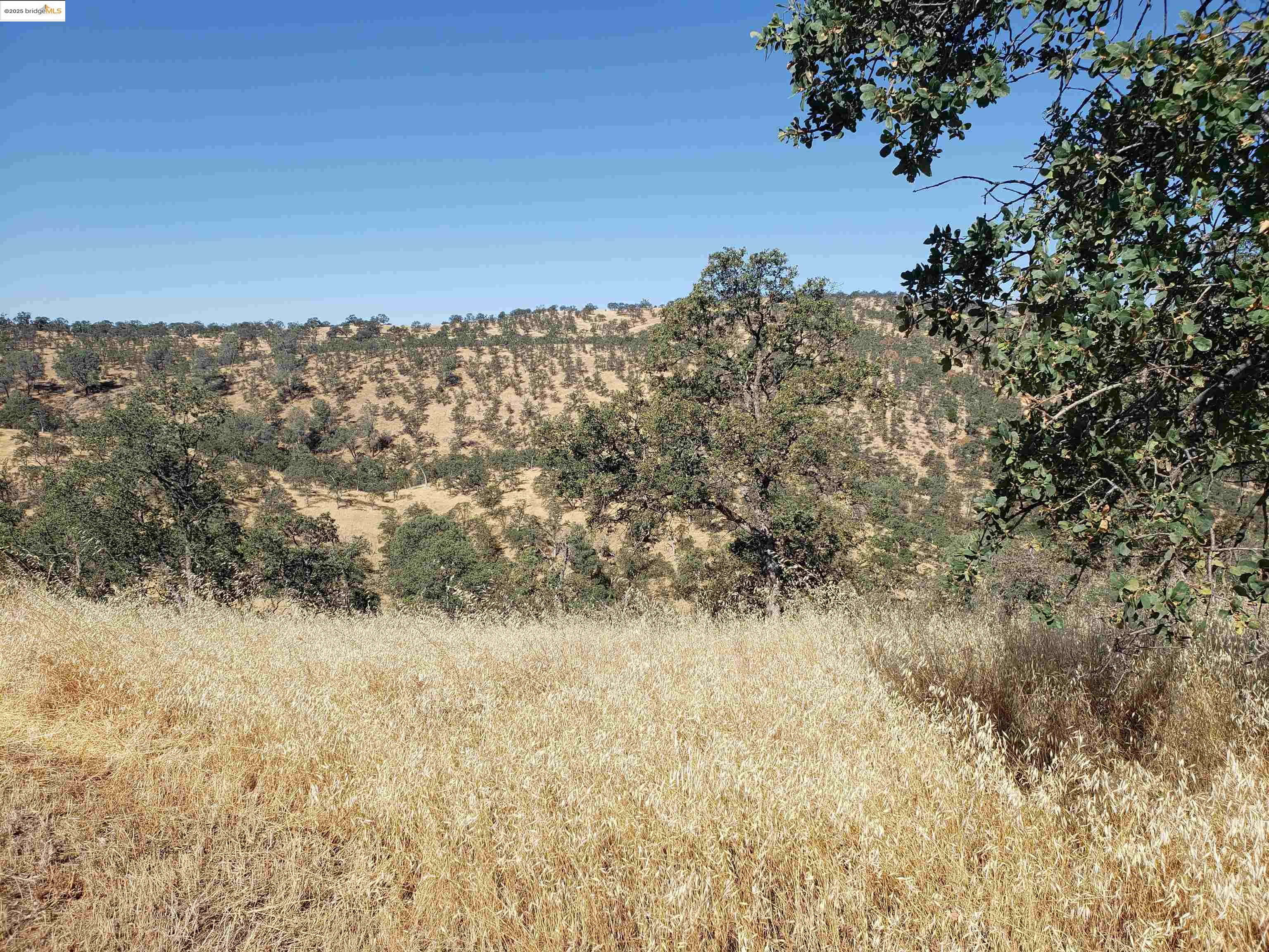 Detail Gallery Image 4 of 9 For 1400 Medina Court, La Grange,  CA 95329 - – Beds | – Baths
