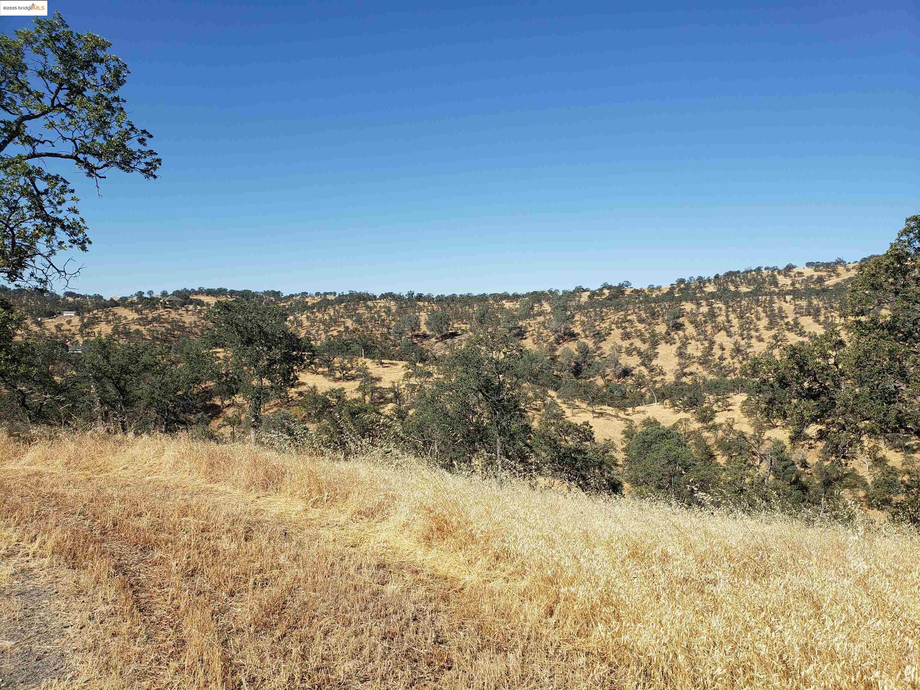Detail Gallery Image 5 of 9 For 1400 Medina Court, La Grange,  CA 95329 - – Beds | – Baths