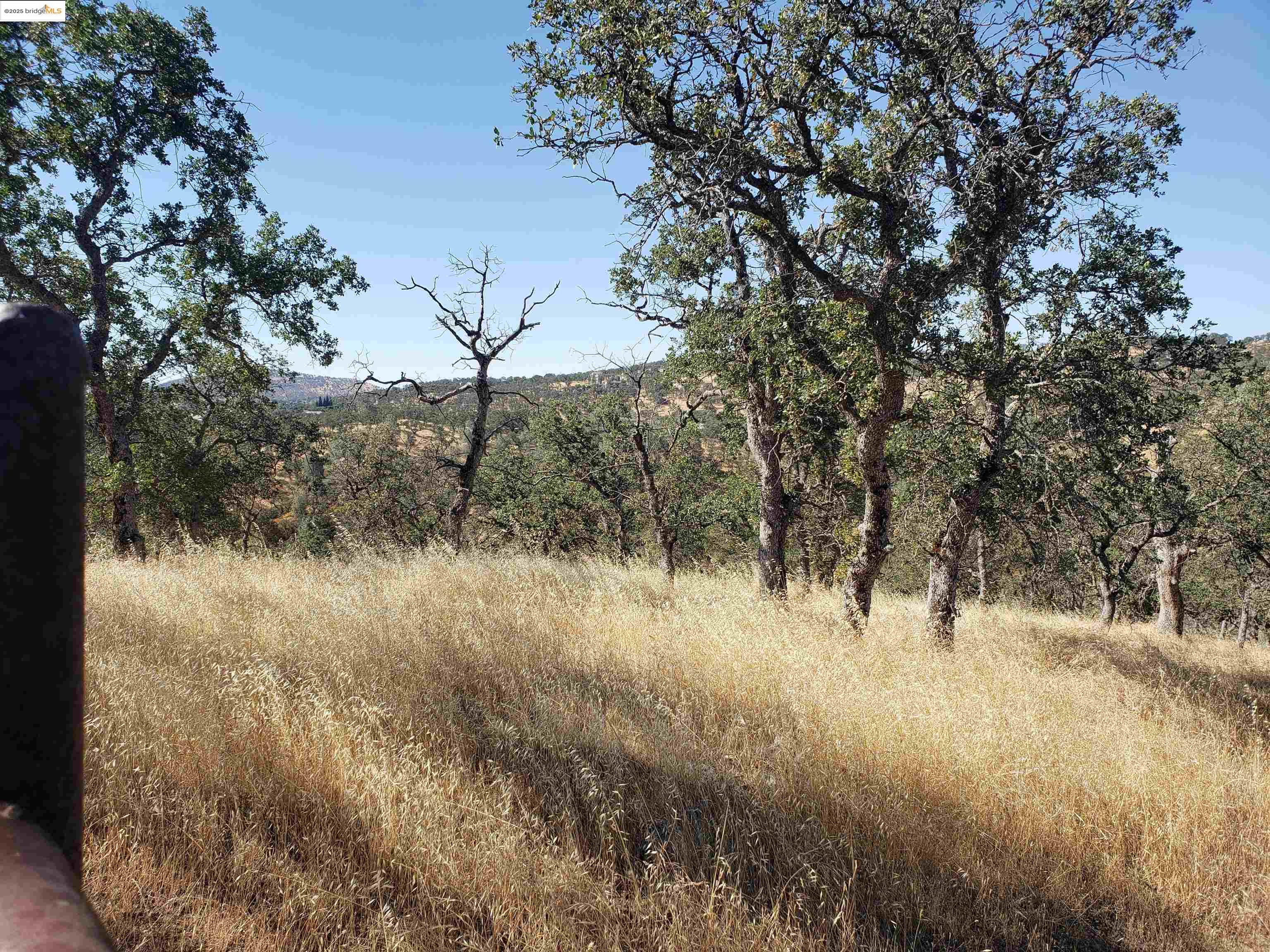 Detail Gallery Image 9 of 9 For 1400 Medina Court, La Grange,  CA 95329 - – Beds | – Baths