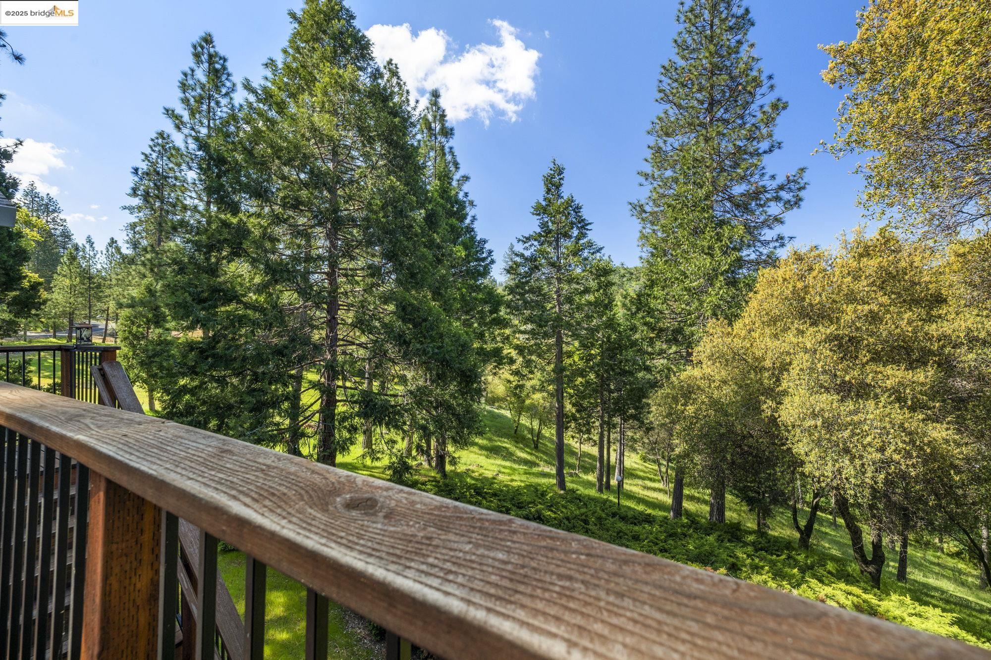 Detail Gallery Image 28 of 56 For 19099 Raboul Court, Groveland,  CA 95321-0000 - 3 Beds | 2 Baths