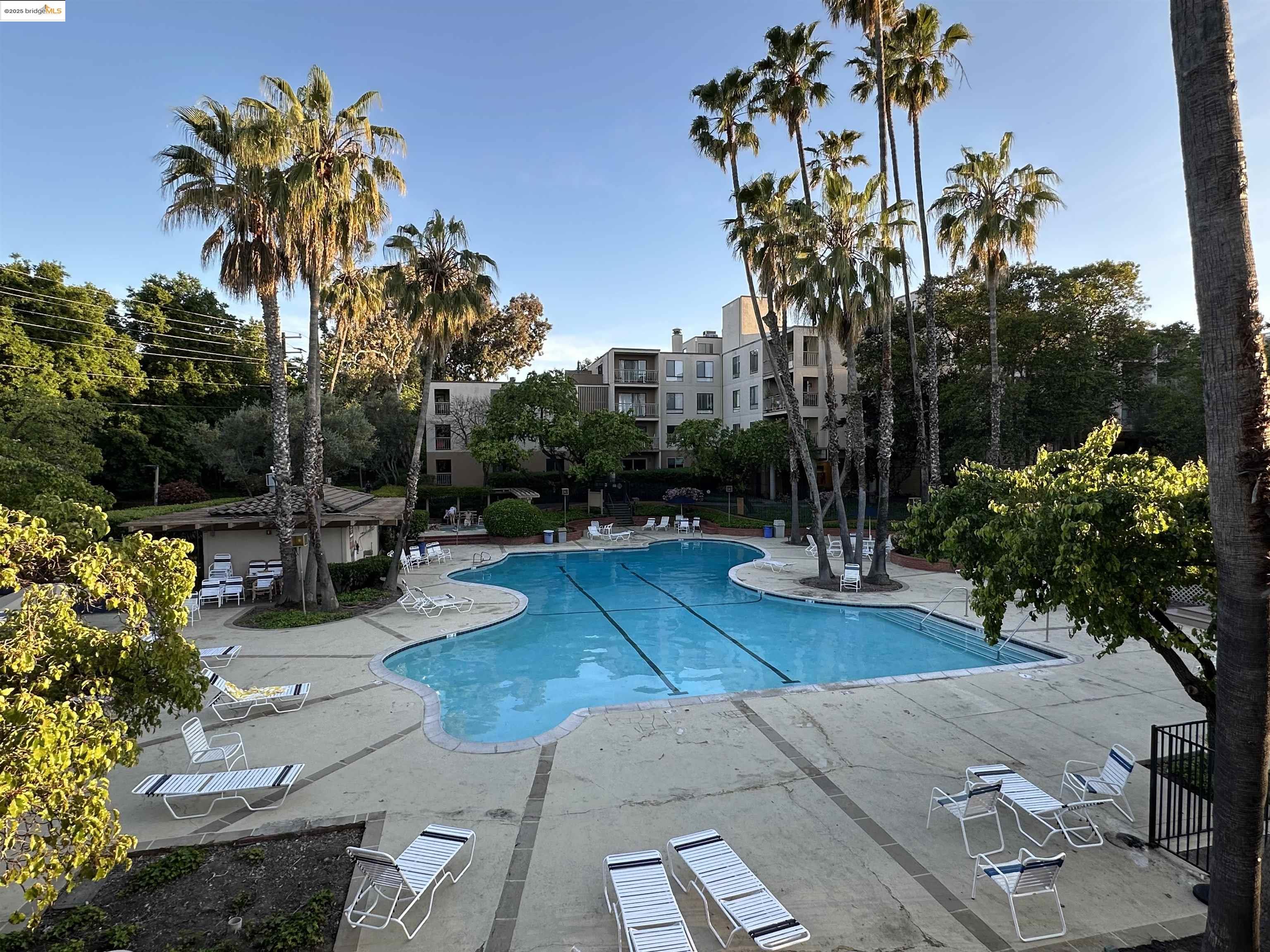 Detail Gallery Image 25 of 30 For 490 N Civic Dr #206,  Walnut Creek,  CA 94596 - 1 Beds | 1 Baths