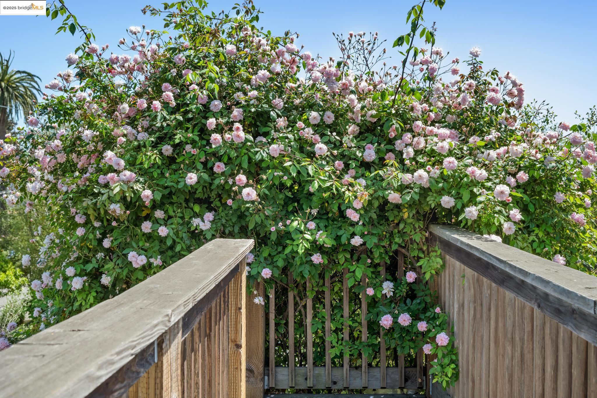 Detail Gallery Image 32 of 50 For 1042 Santa Clara Ave, Alameda,  CA 94501 - – Beds | – Baths