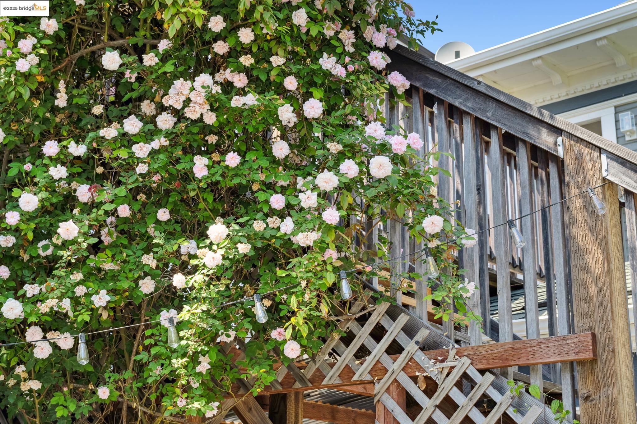 Detail Gallery Image 47 of 50 For 1042 Santa Clara Ave, Alameda,  CA 94501 - – Beds | – Baths
