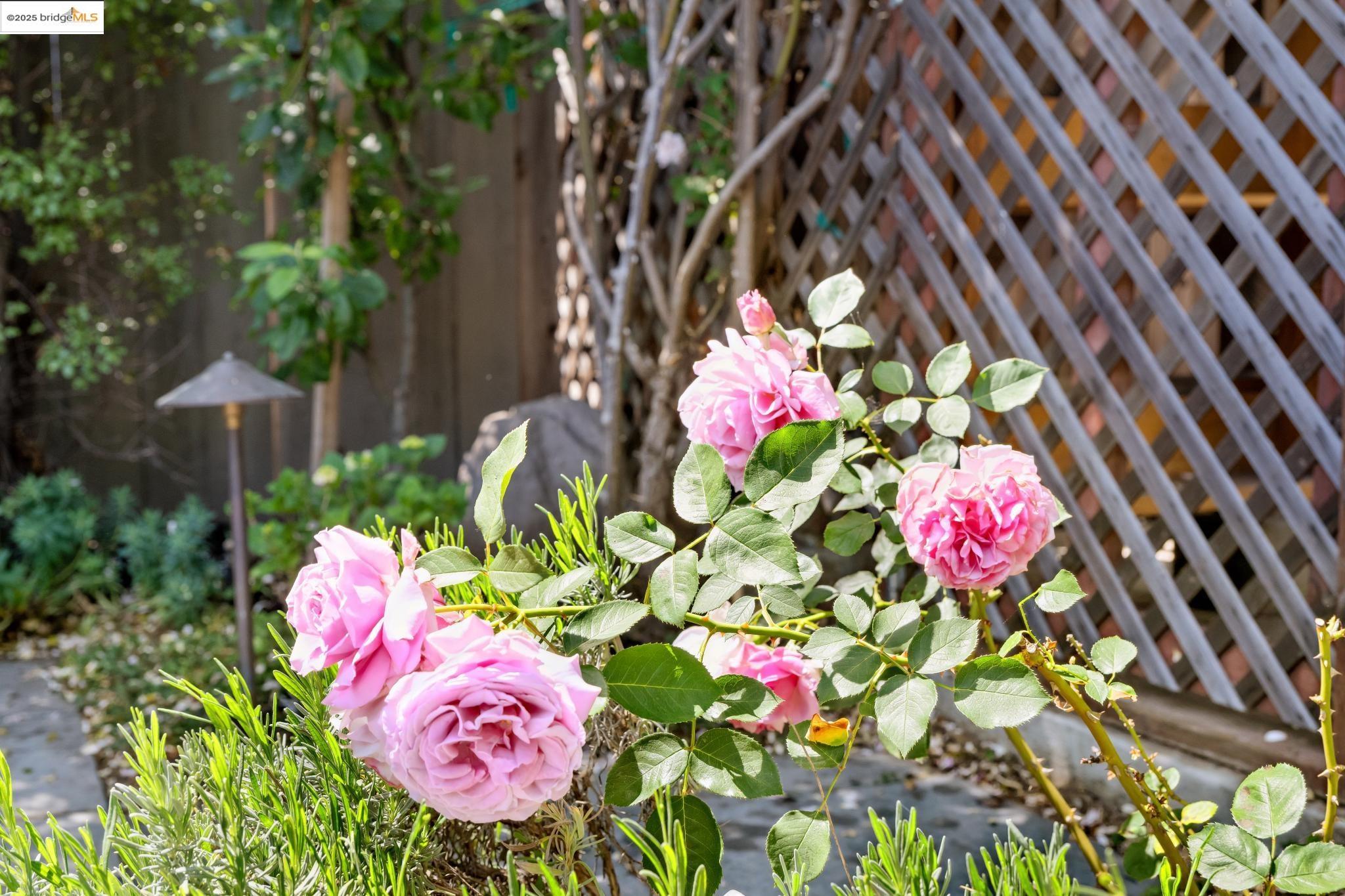 Detail Gallery Image 48 of 50 For 1042 Santa Clara Ave, Alameda,  CA 94501 - – Beds | – Baths
