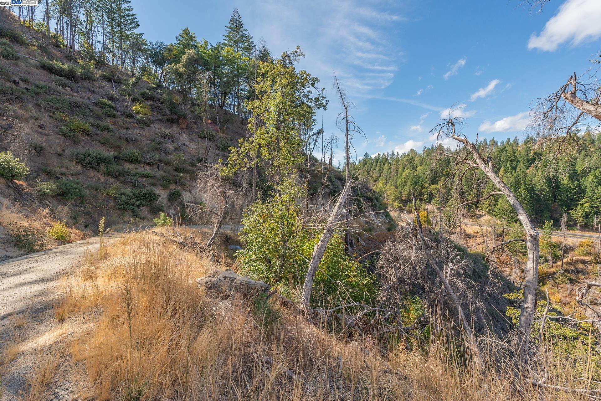 Detail Gallery Image 11 of 26 For 000 Nsa 31 Acres, Redding,  CA 96099 - – Beds | – Baths