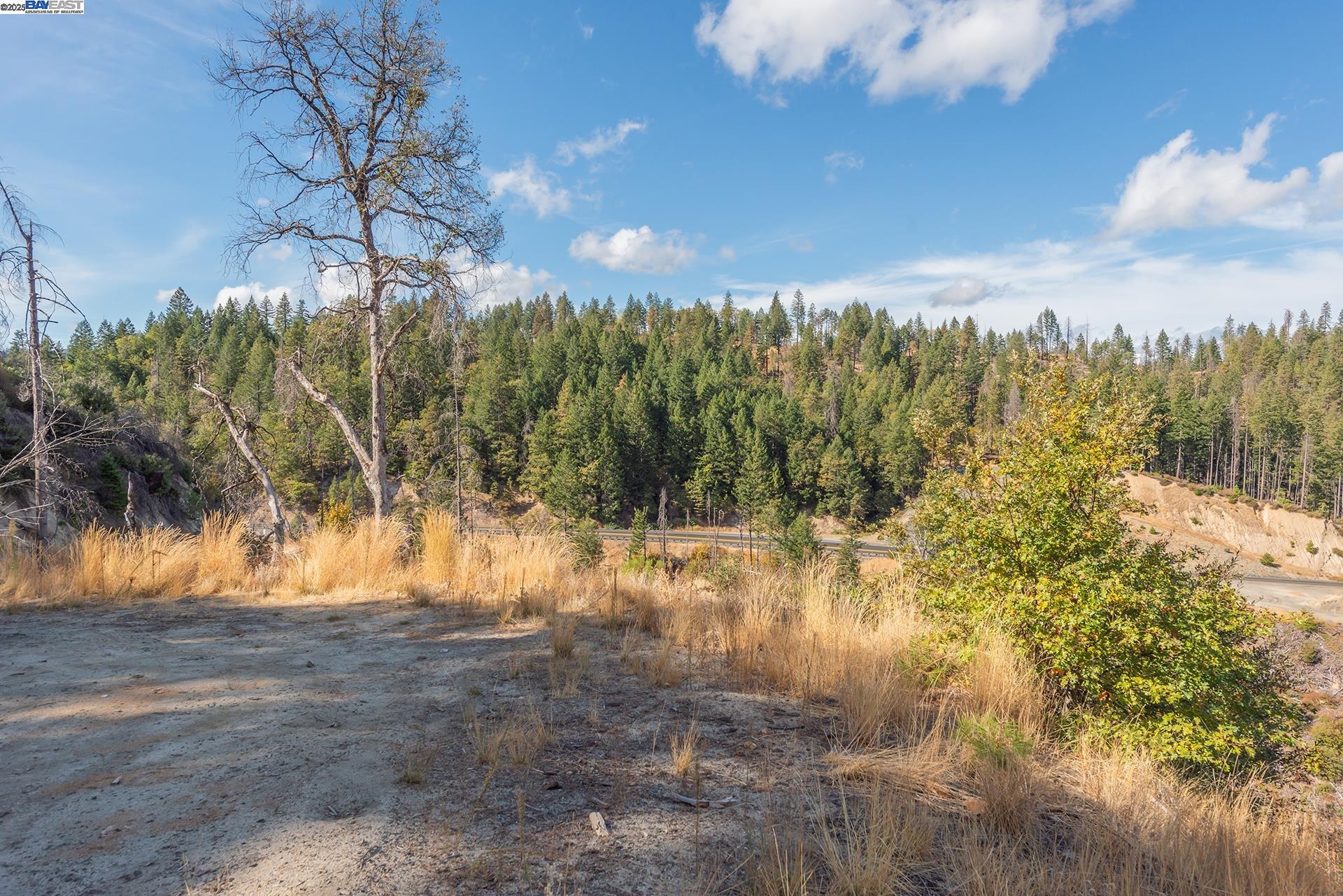 Detail Gallery Image 18 of 26 For 000 Nsa 31 Acres, Redding,  CA 96099 - – Beds | – Baths