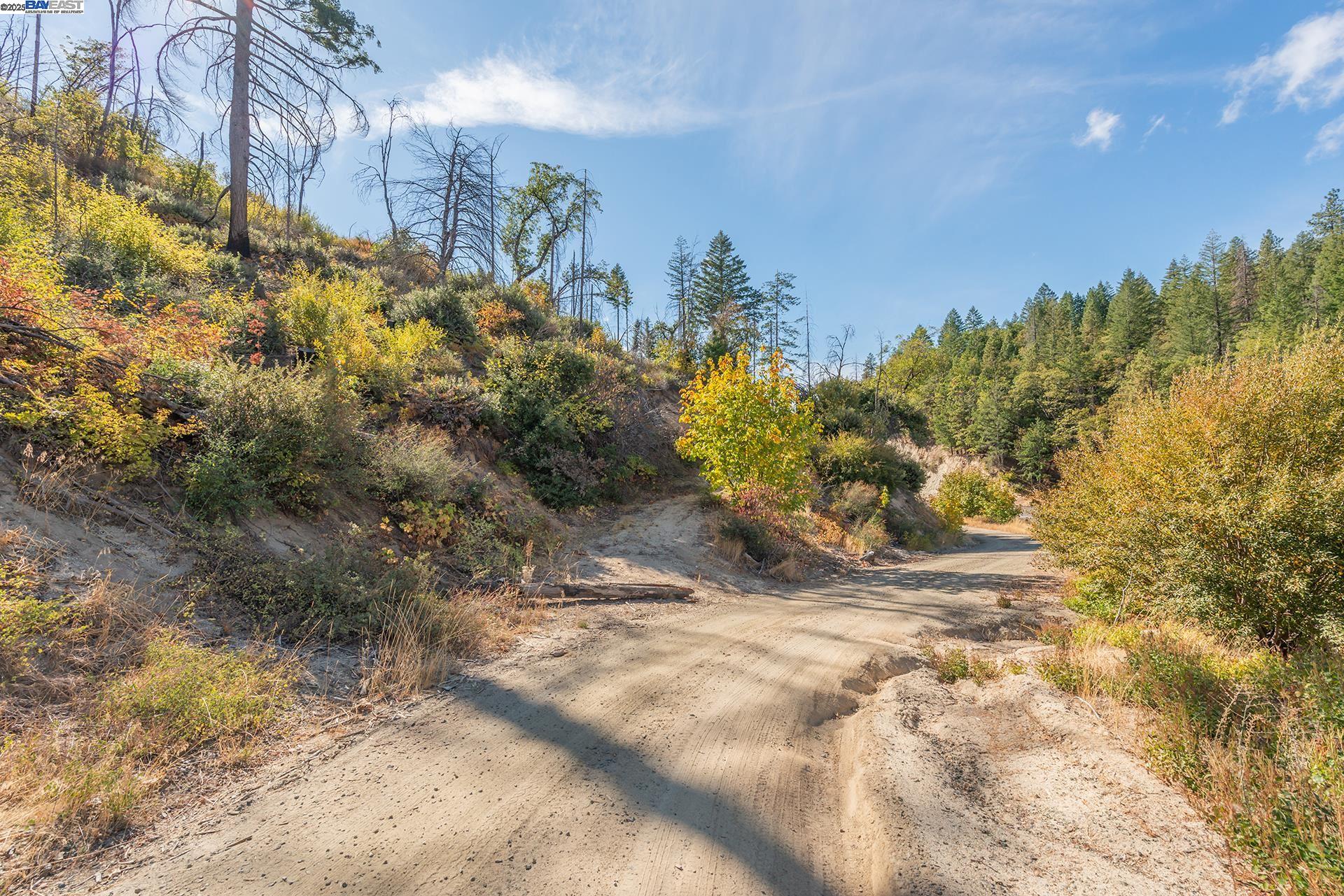 Detail Gallery Image 19 of 26 For 000 Nsa 31 Acres, Redding,  CA 96099 - – Beds | – Baths