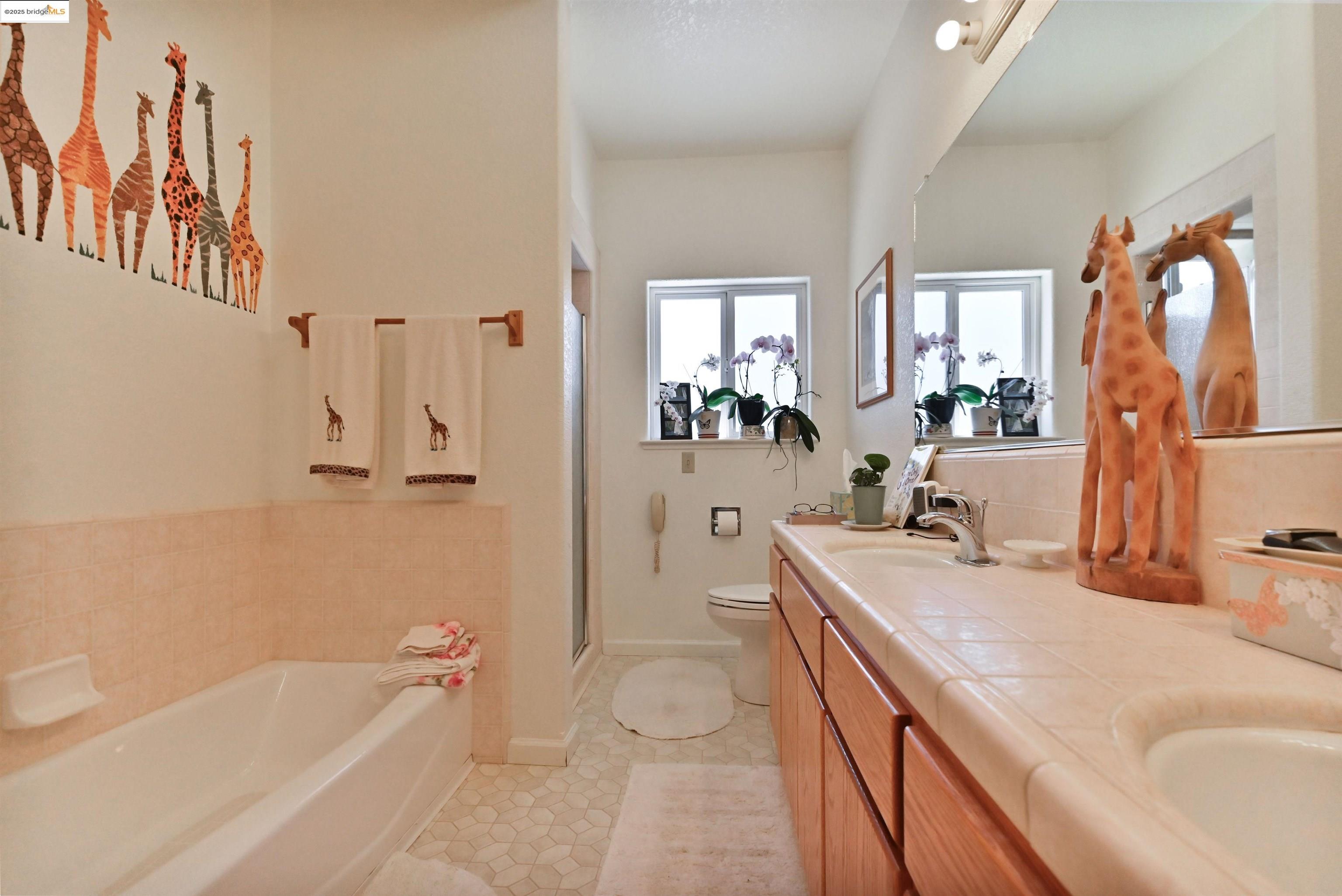 Detail Gallery Image 49 of 60 For 5409 Stagecoach Hill Rd, Mountain Ranch,  CA 95246 - 3 Beds | 2/1 Baths